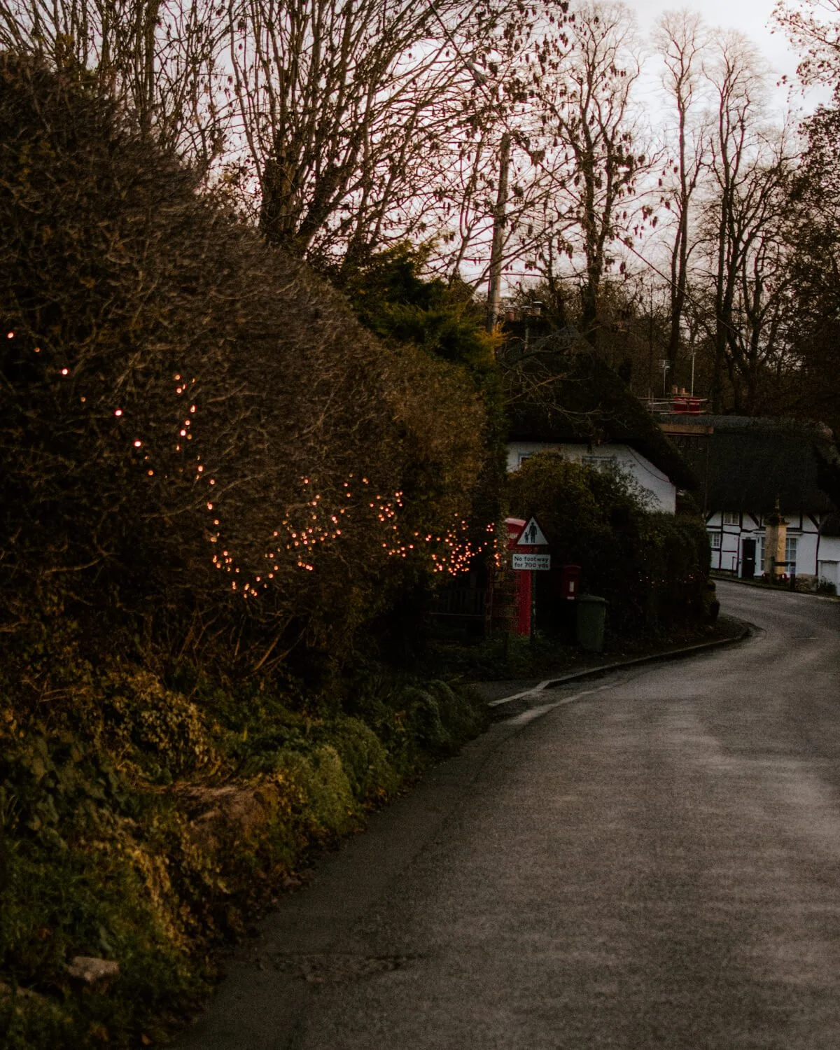 Sparkling Christmas lights down the village road | A Wholesome Life | Josephine Brooks
