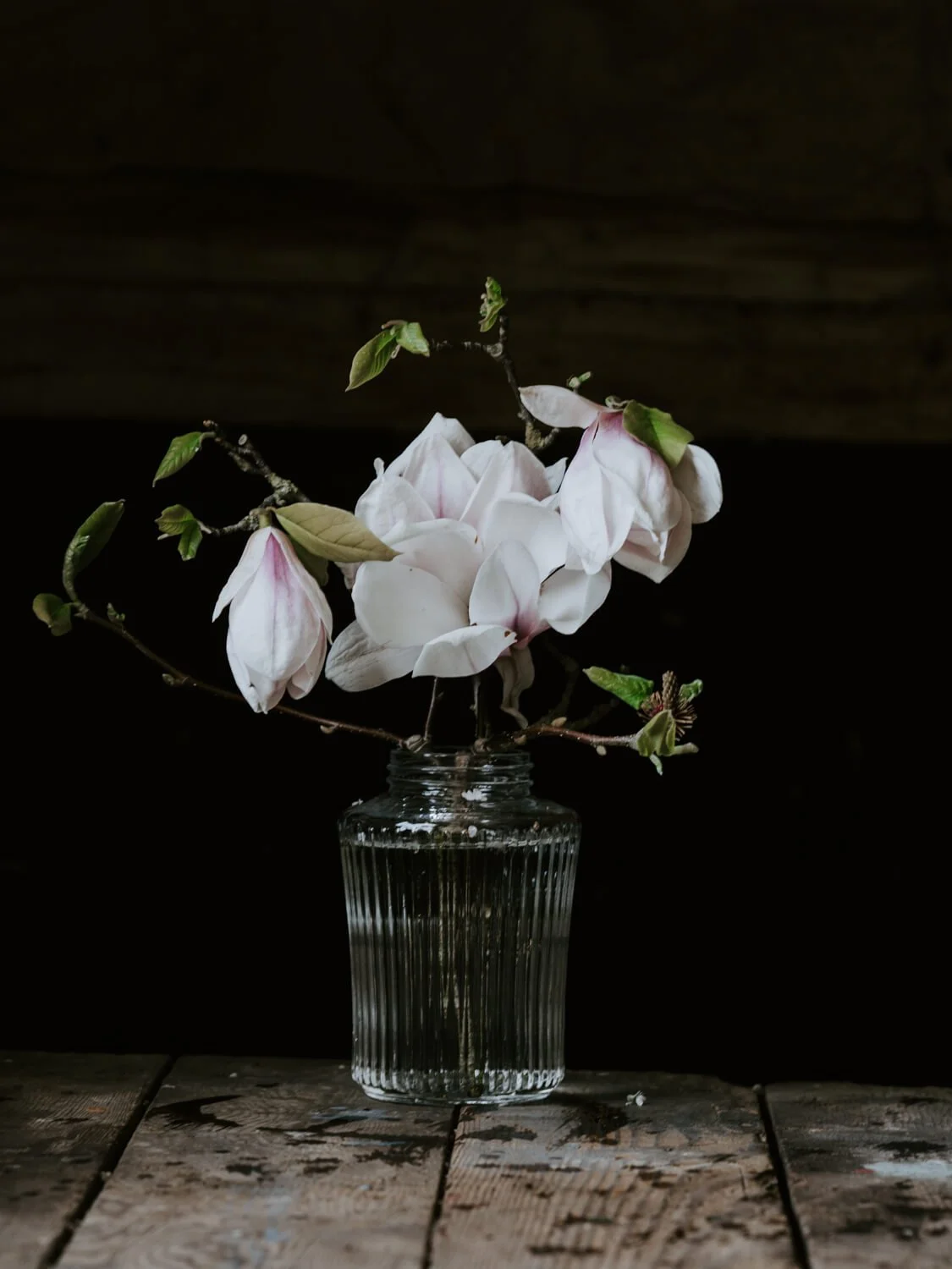 Magnolia blossom in a glass vase | A Wholesome Life | Josephine Brooks