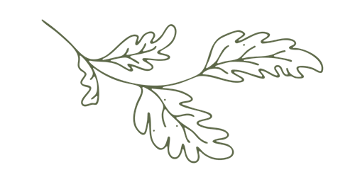 Oak Brand Dark Green - Josephine Brooks