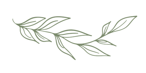 Willow Leaves Pale Green - Josephine Brooks