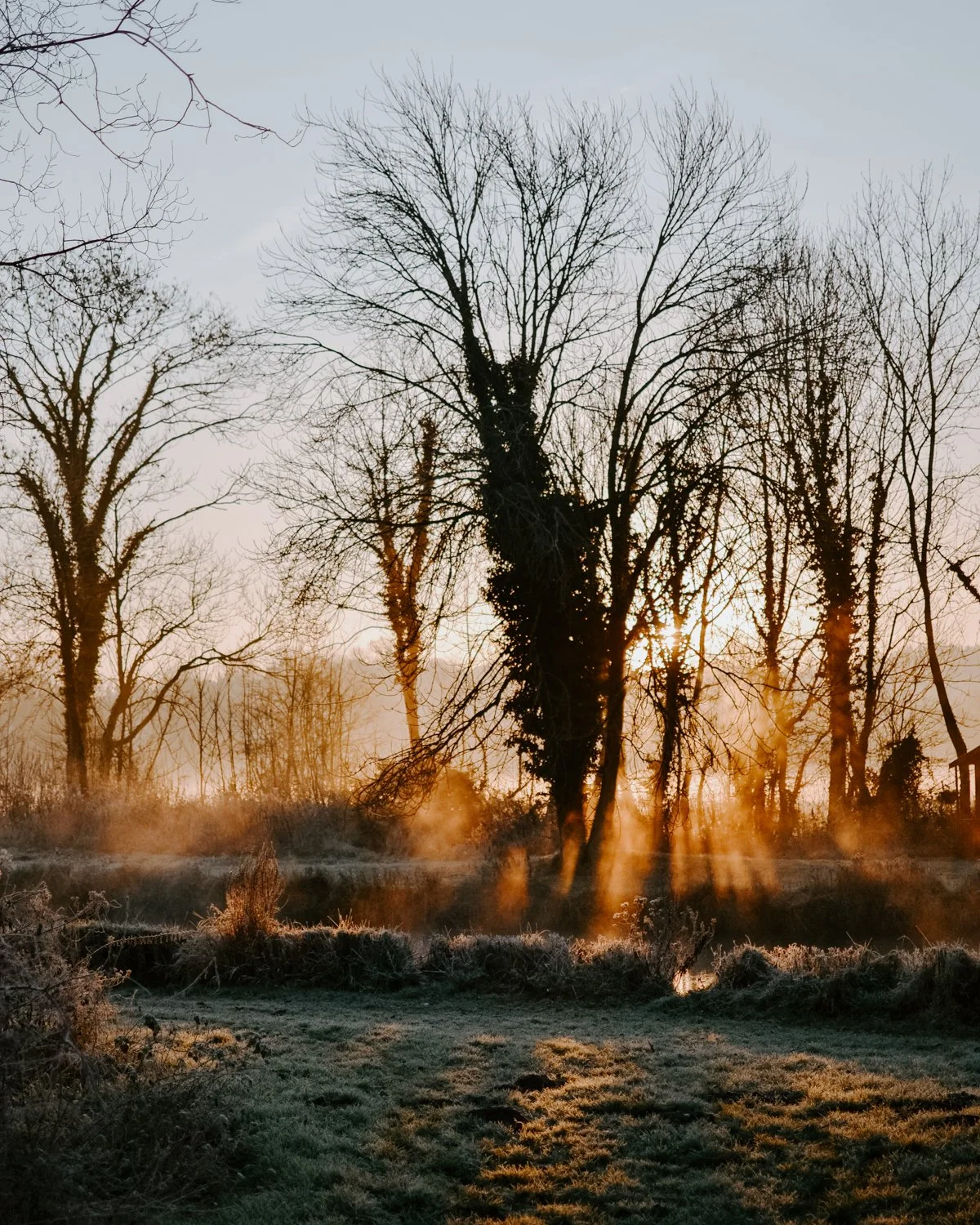 January golden hour | A Wholesome Life | Josephine Brooks