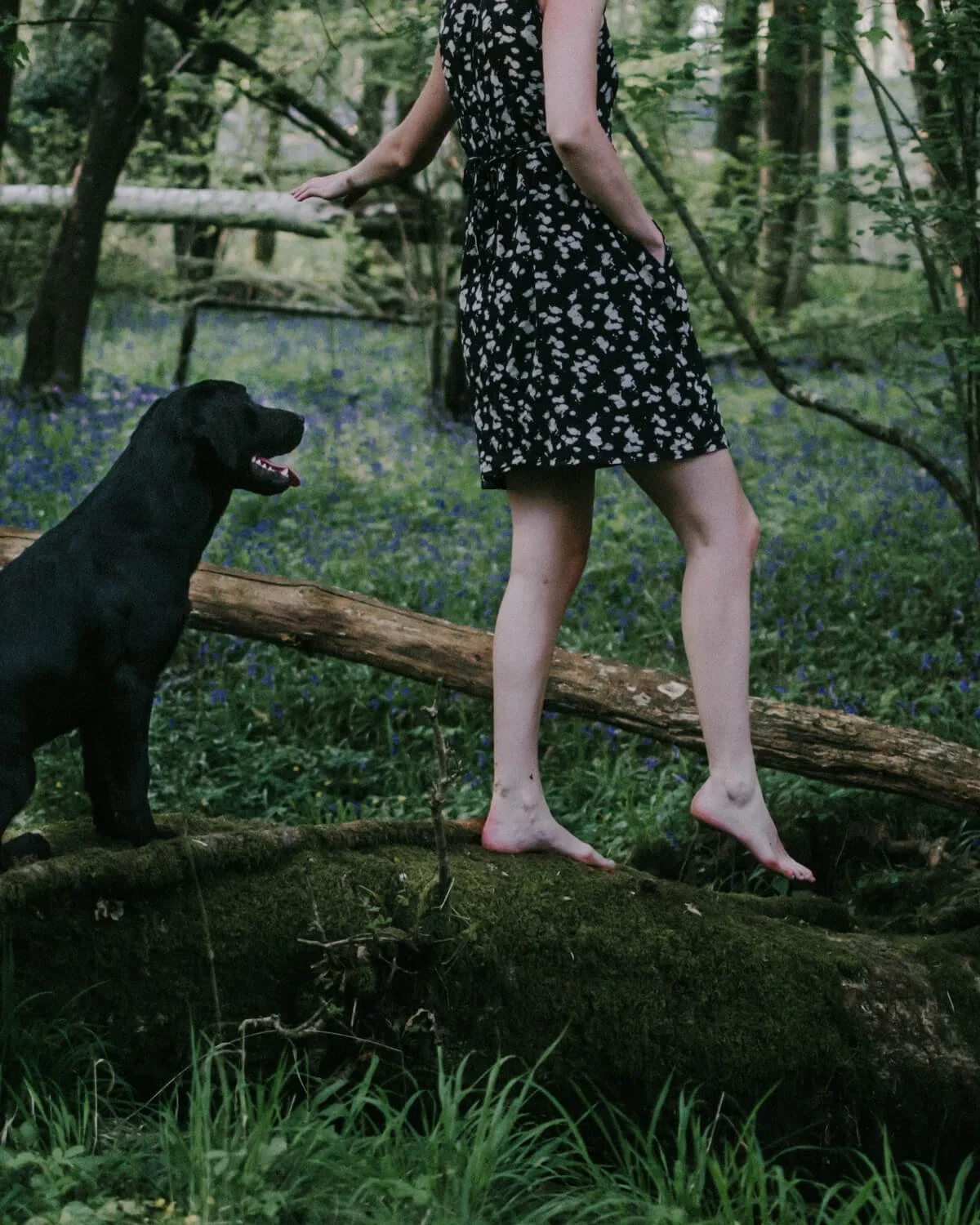 Walking barefoot along a log in a bluebell woods | A Wholesome Life | Josephine Brooks