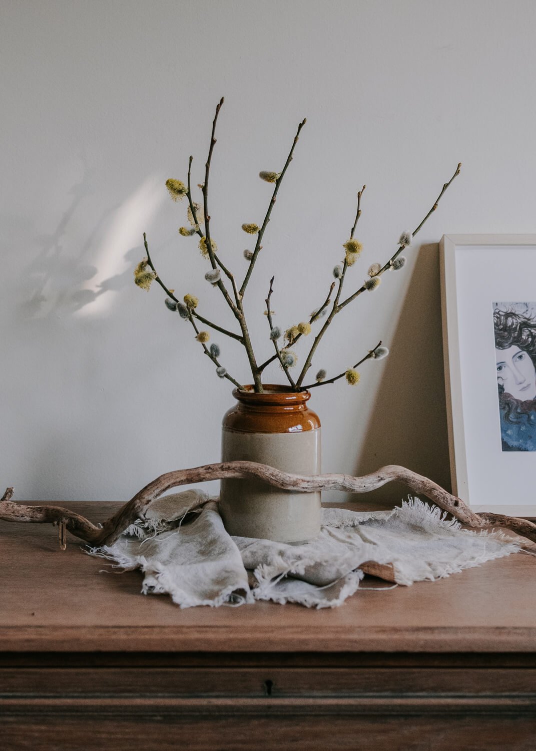 Pussy Willow blossom | A Wholesome Life | Josephine Brooks