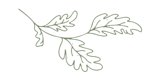 Oak Branch Pale Green - Josephine Brooks