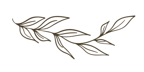 Willow Leaves Dark Brown - Josephine Brooks