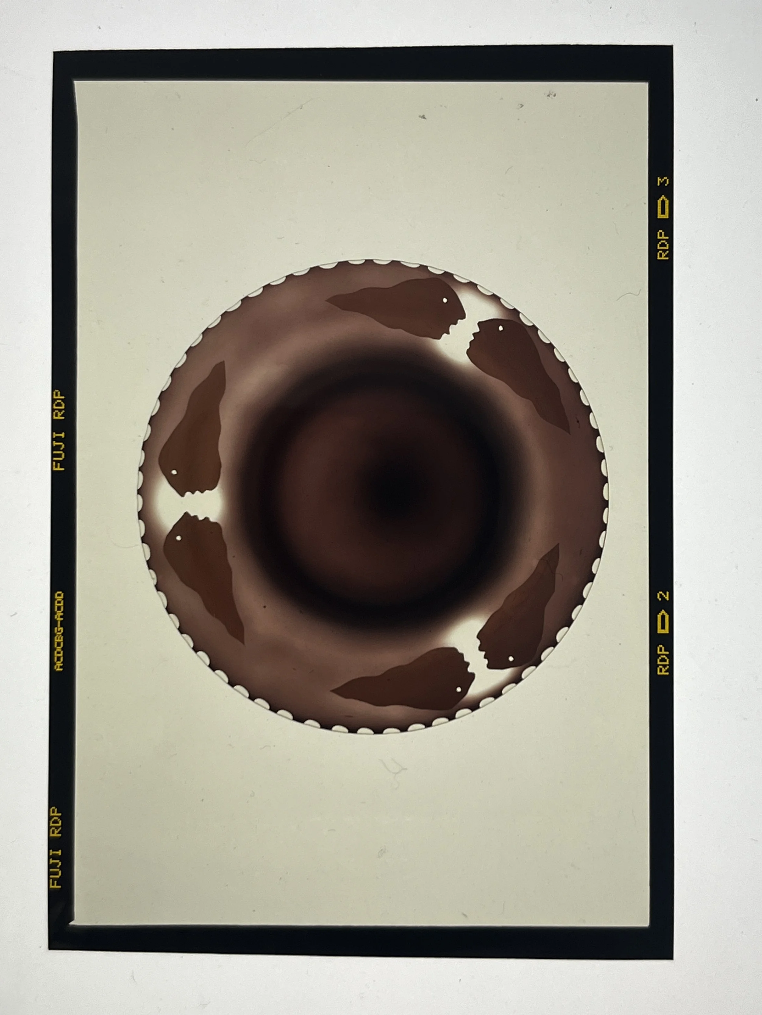 Etched Plate 9.JPG