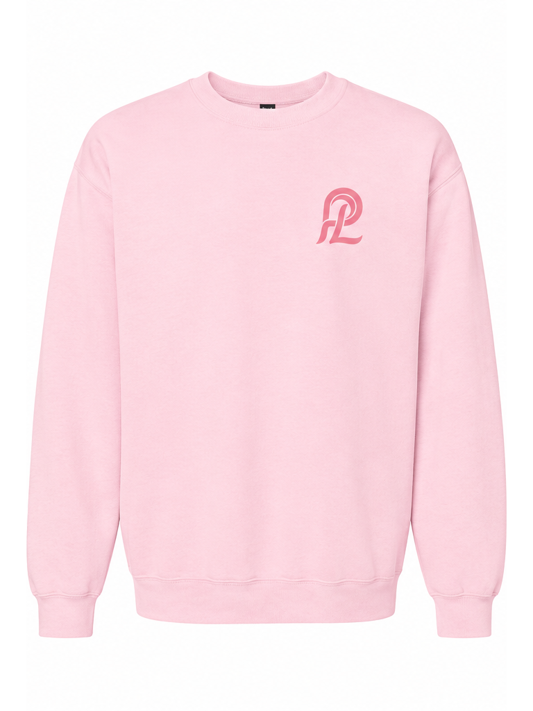 pink_sweatshirt_front_even_margins.png