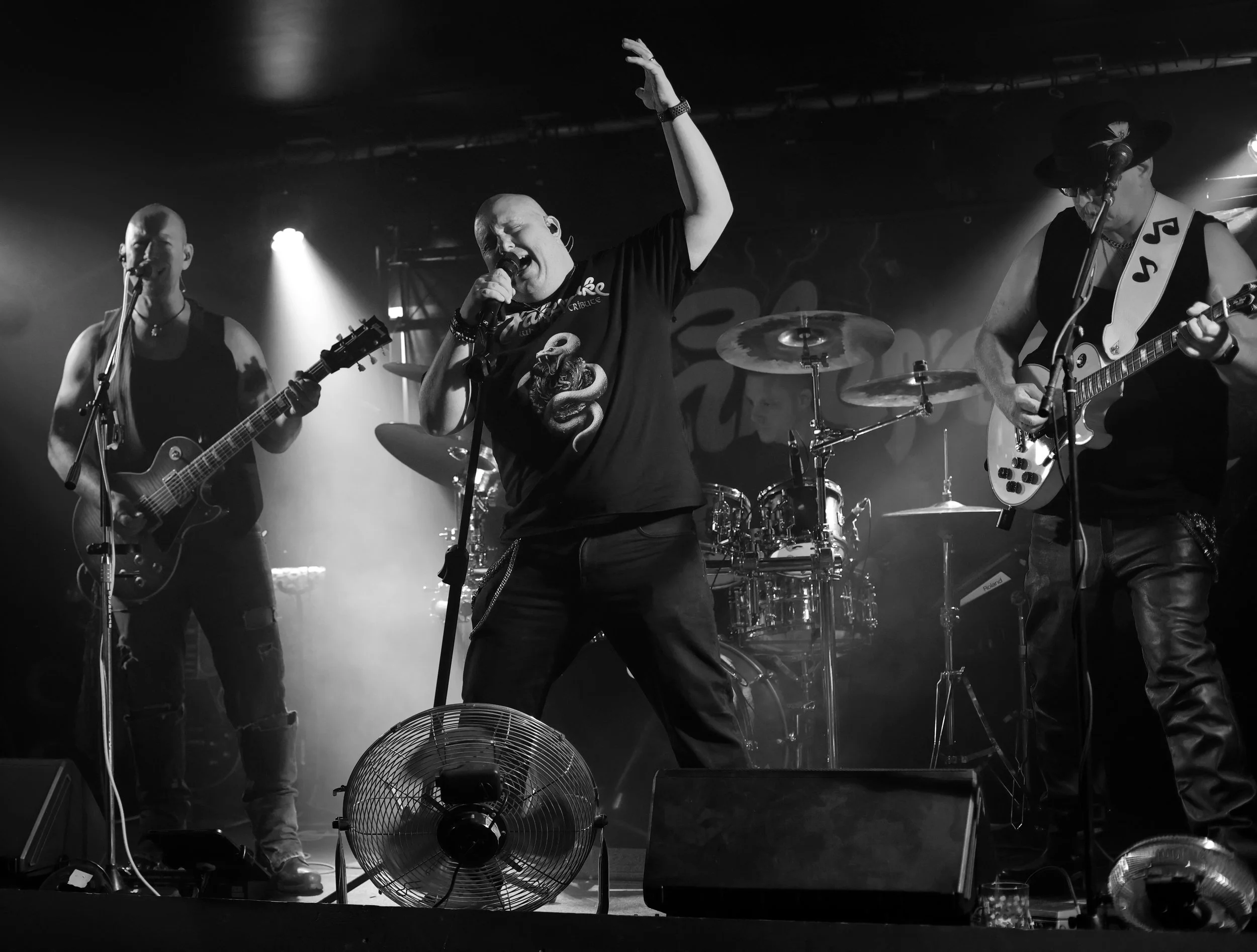 Fakesnake Live Band Photo
