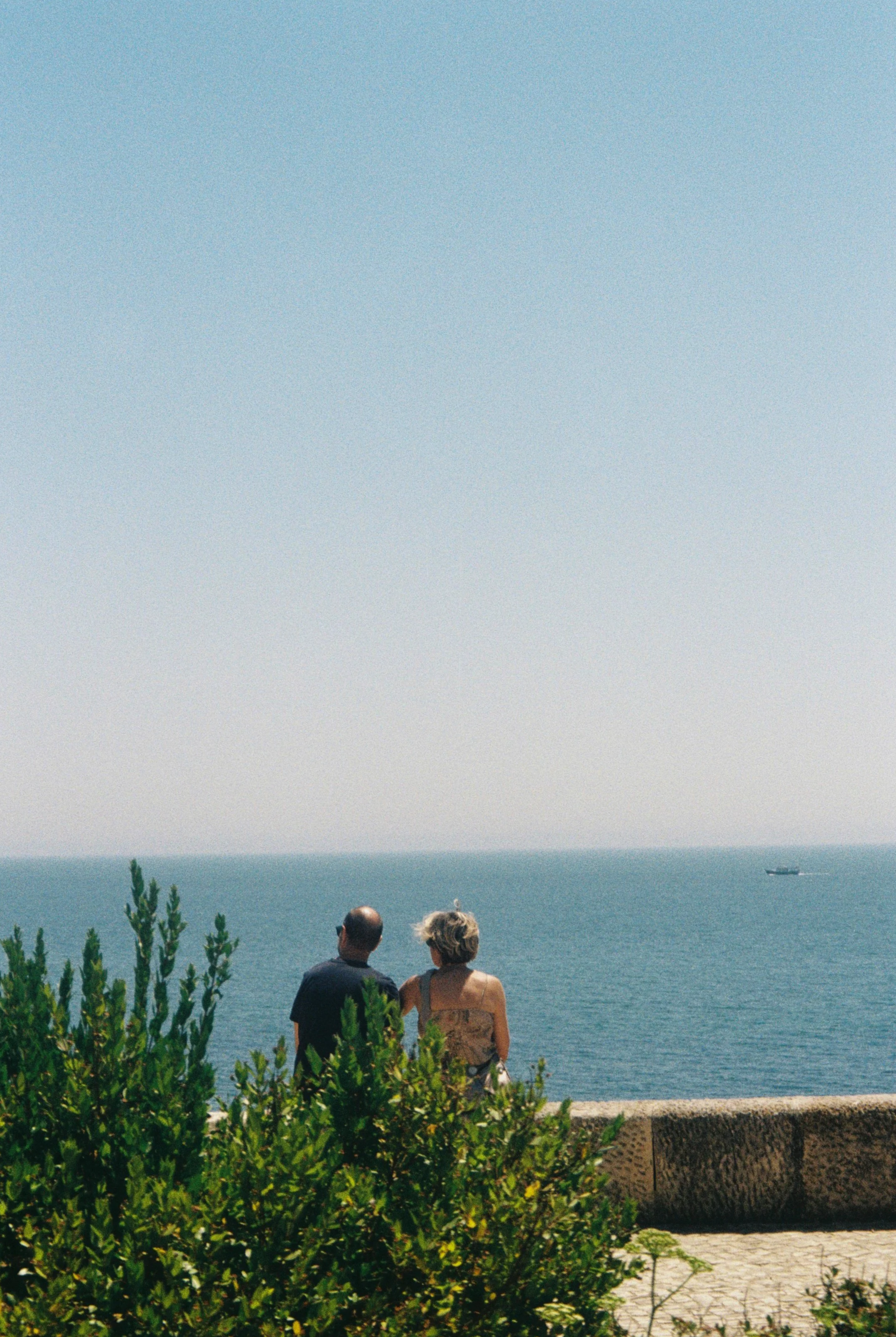 IMG_6990.png
