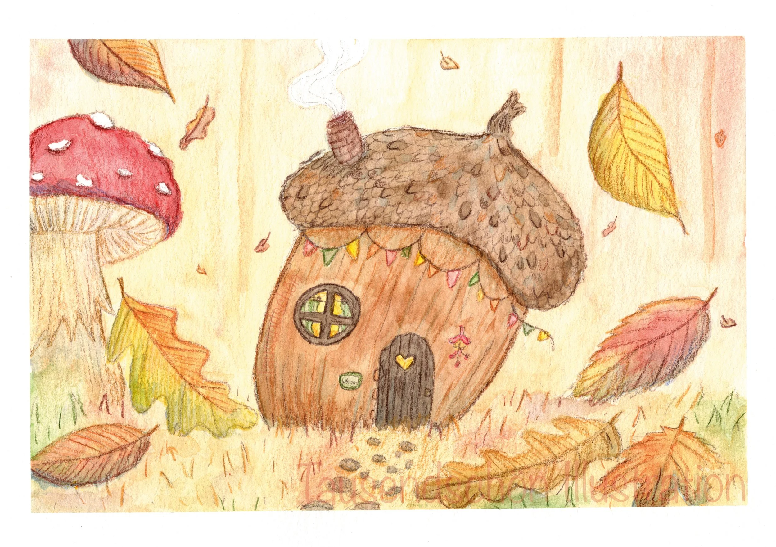 cozy acorn portfolio.jpg