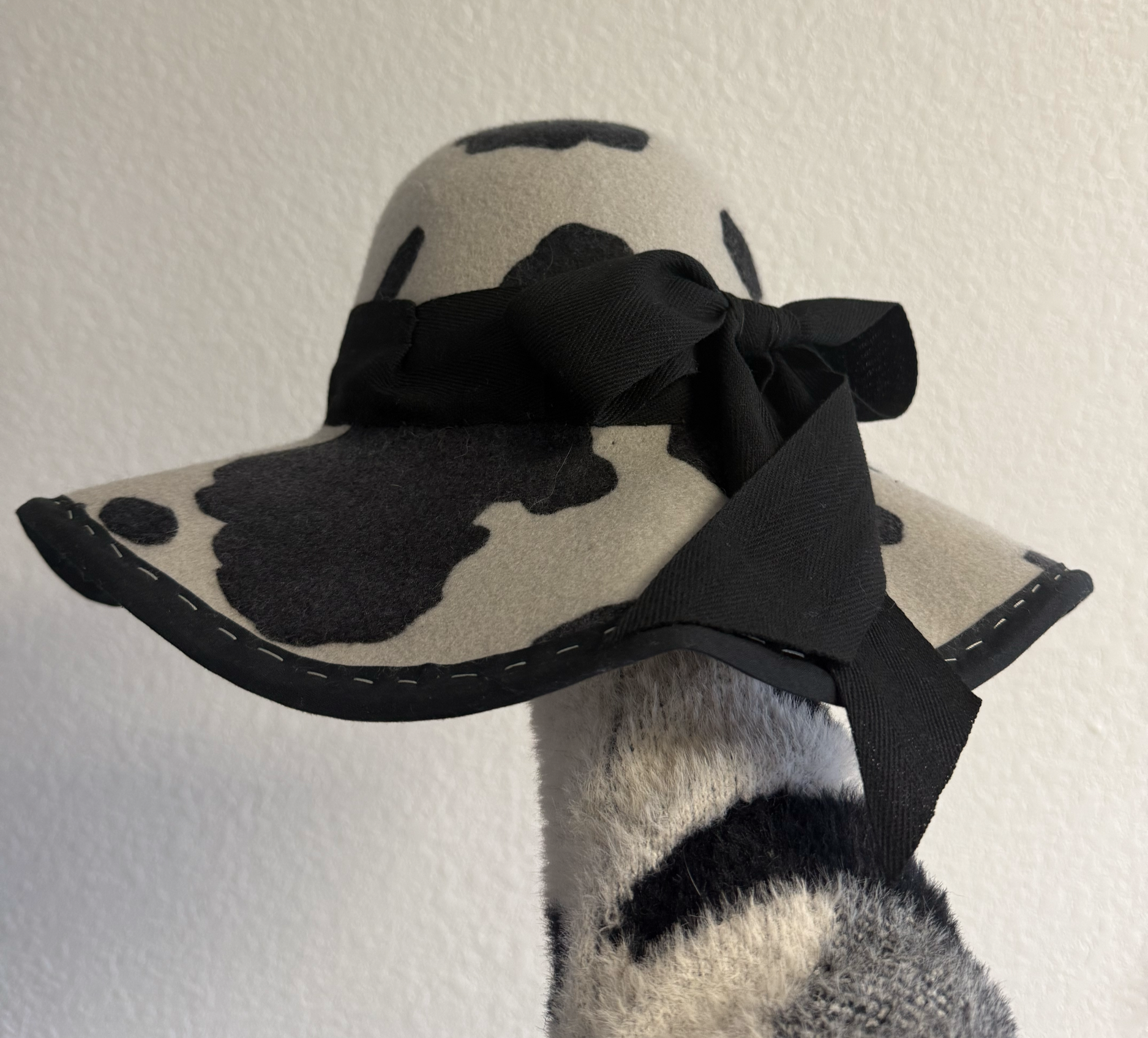 tempImagerbFSRB.png