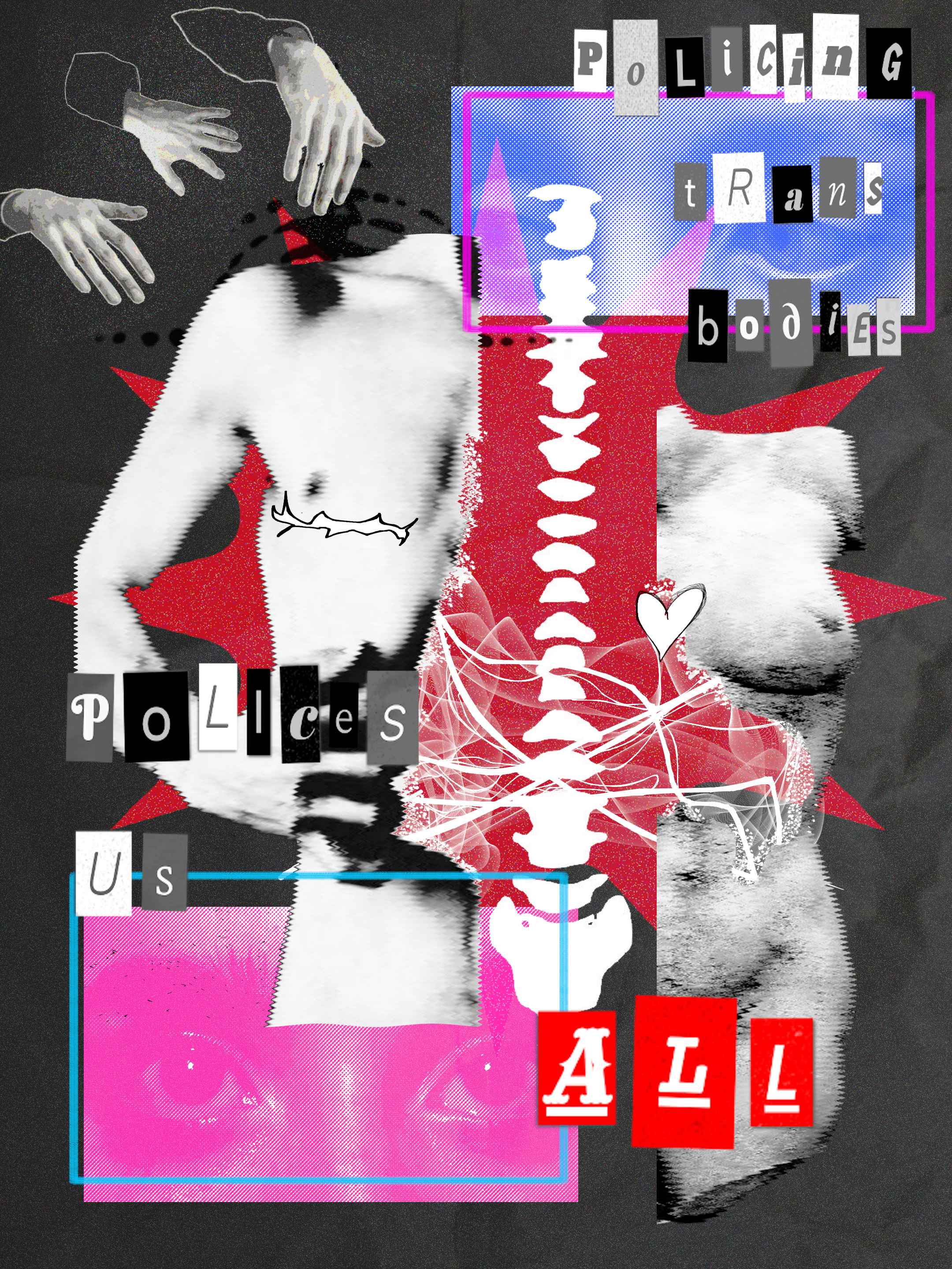 policing trans bodies graphic.png