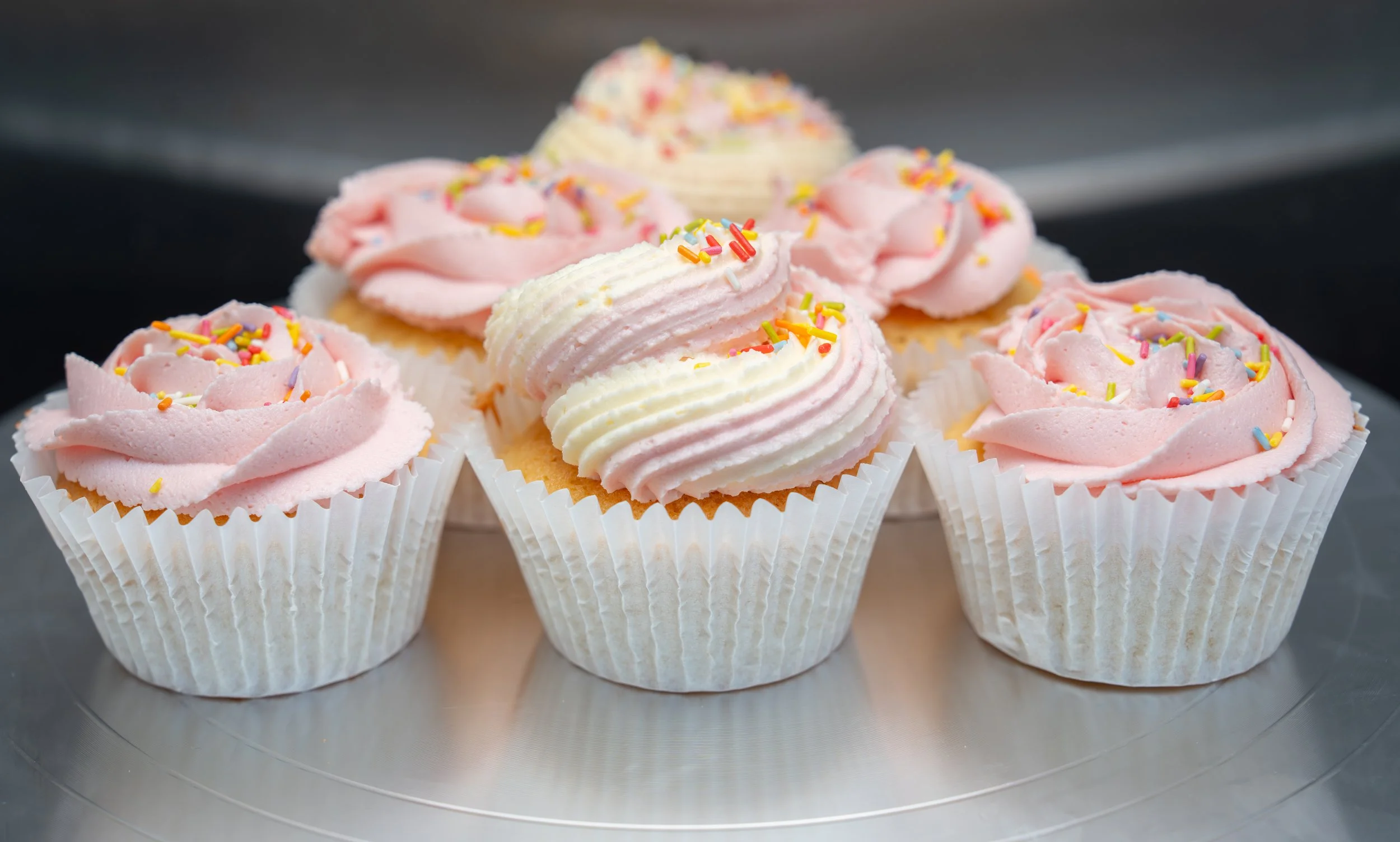 pink cupcakes with sprinkles-1-2.jpg