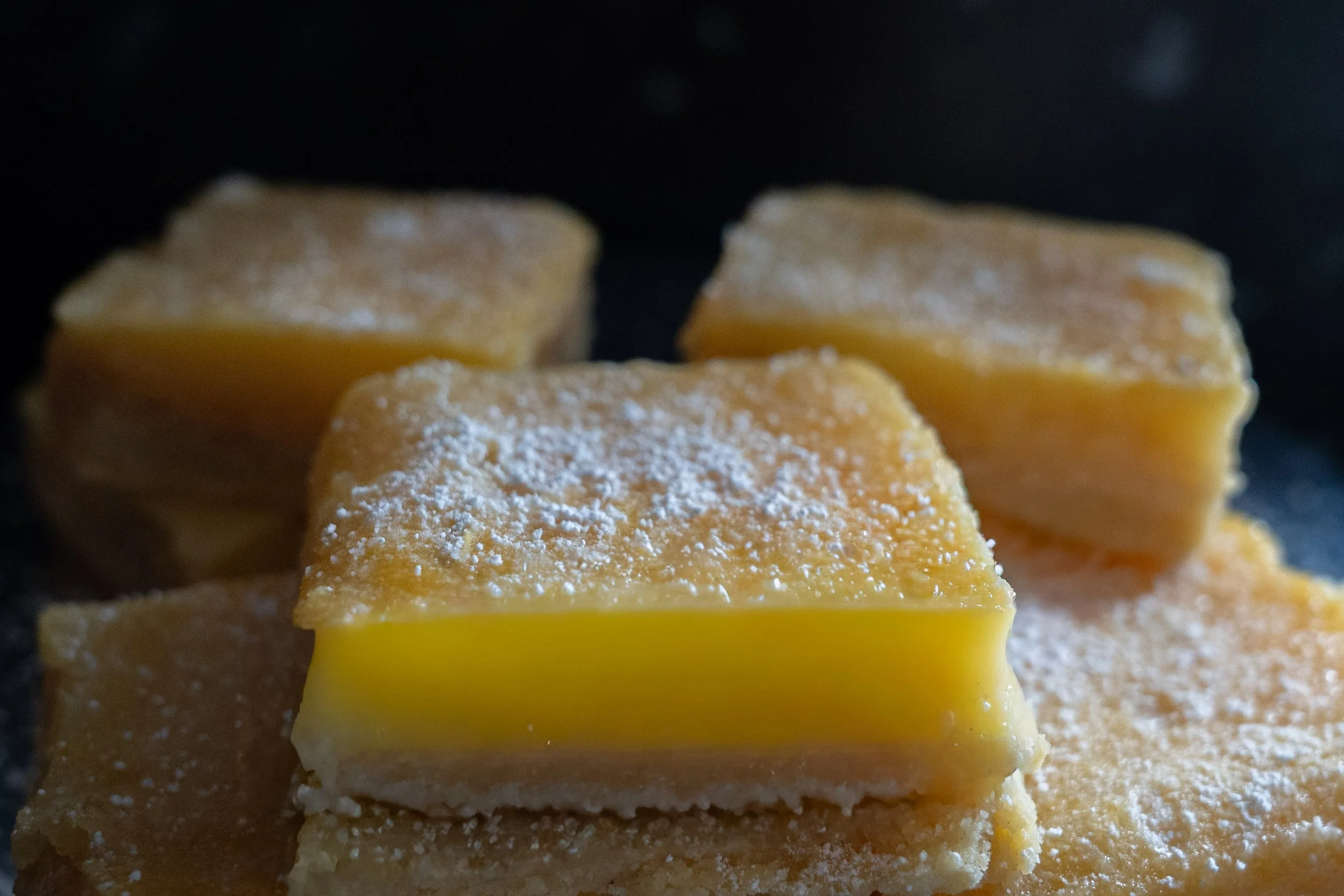 lemon slices-4.jpg
