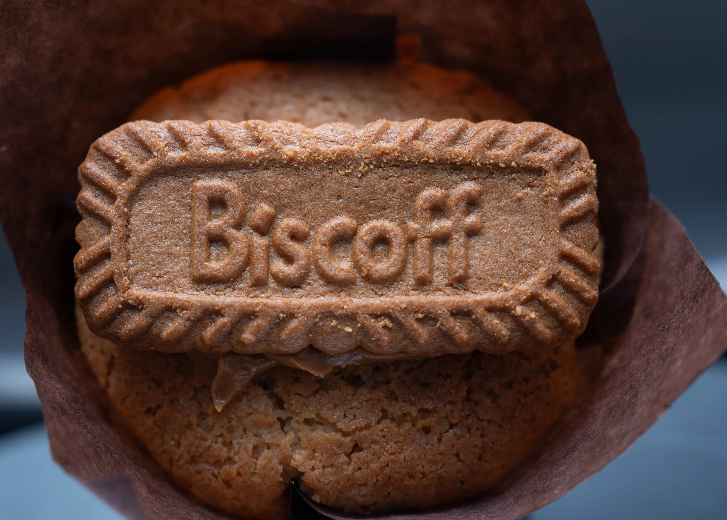 biscoff muffins-1.jpg