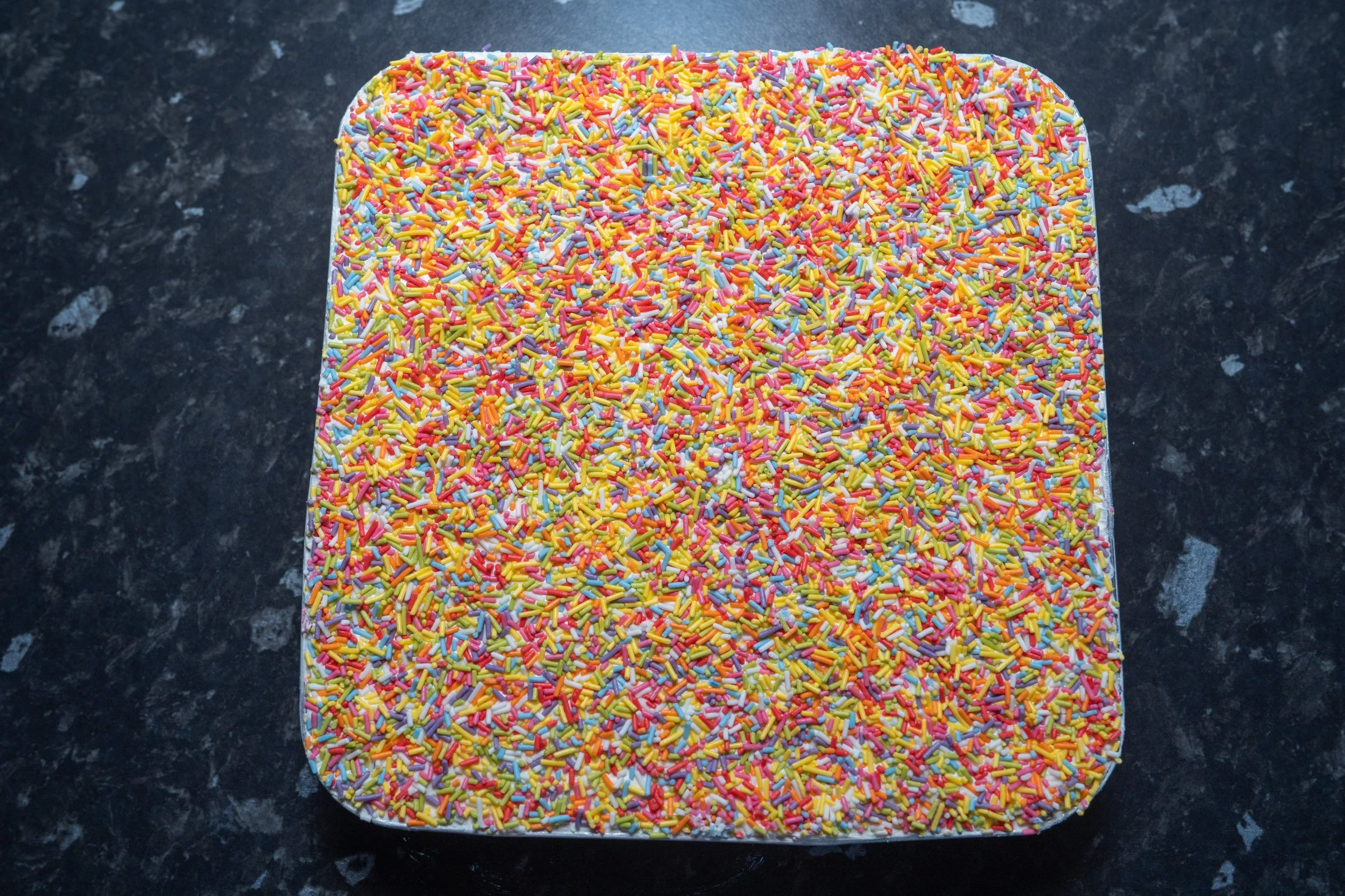 old school sprinkle cake-2-2.jpg