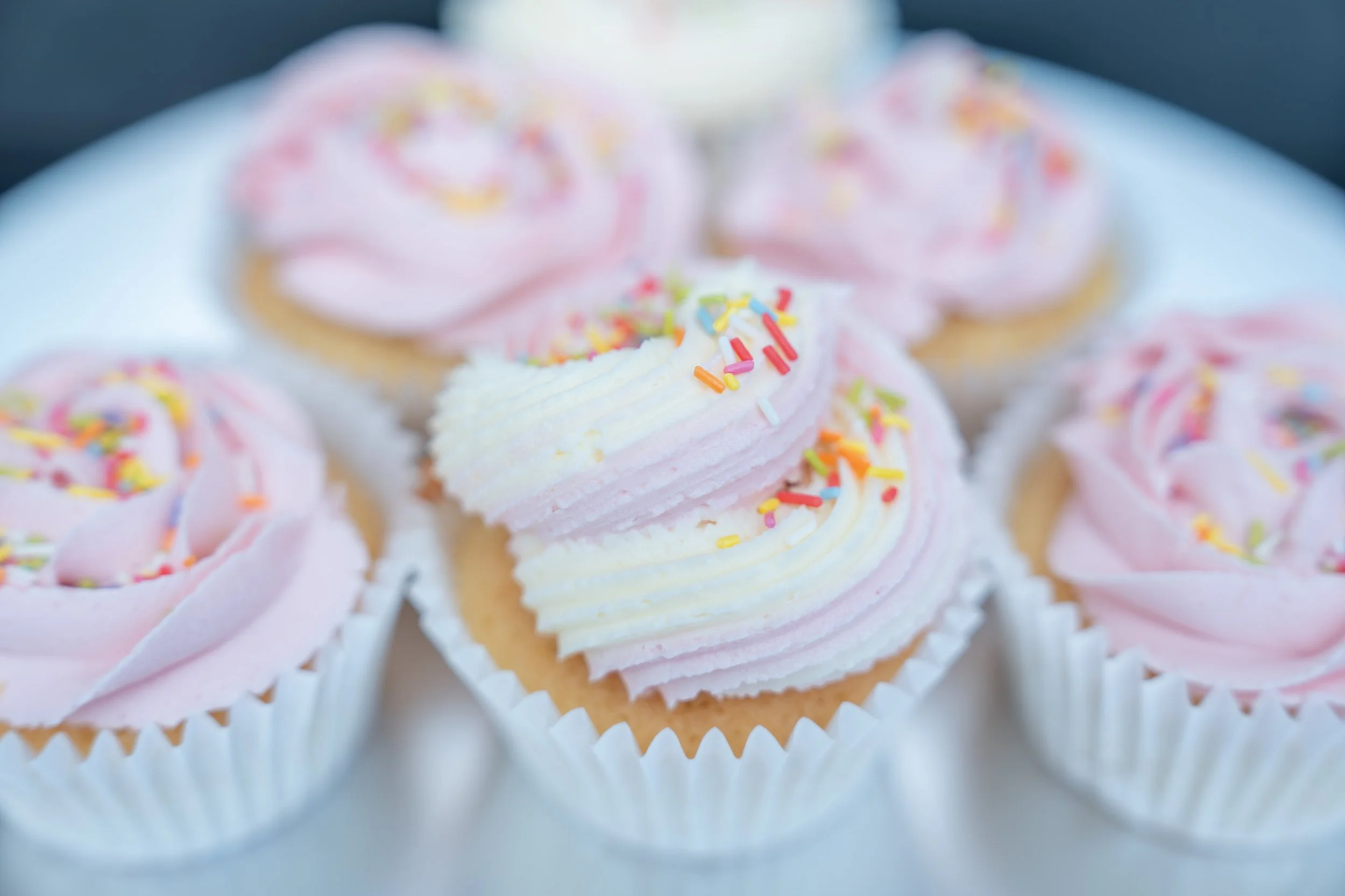 pink cupcakes with sprinkles-2.jpg