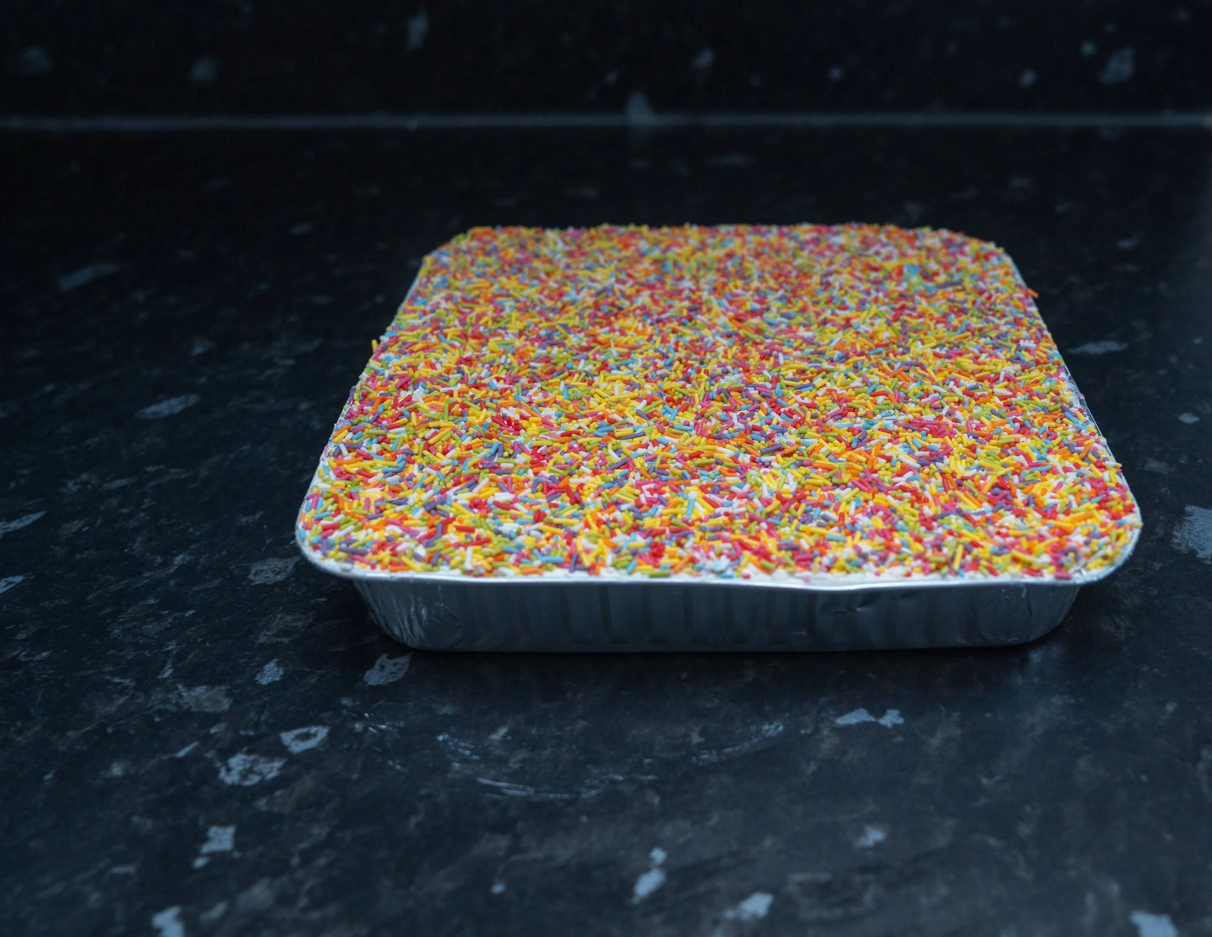old school sprinkle cake-3.jpg