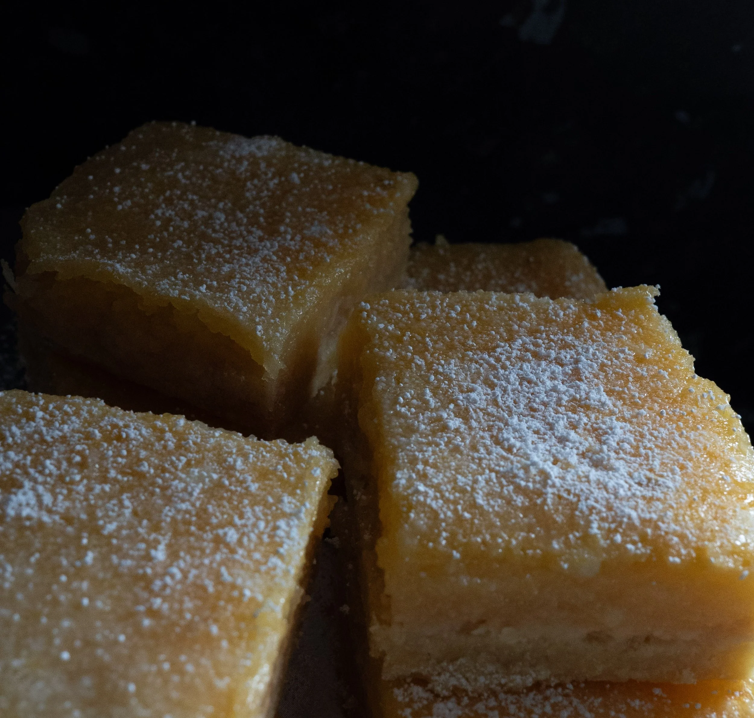 lemon slices-2.jpg