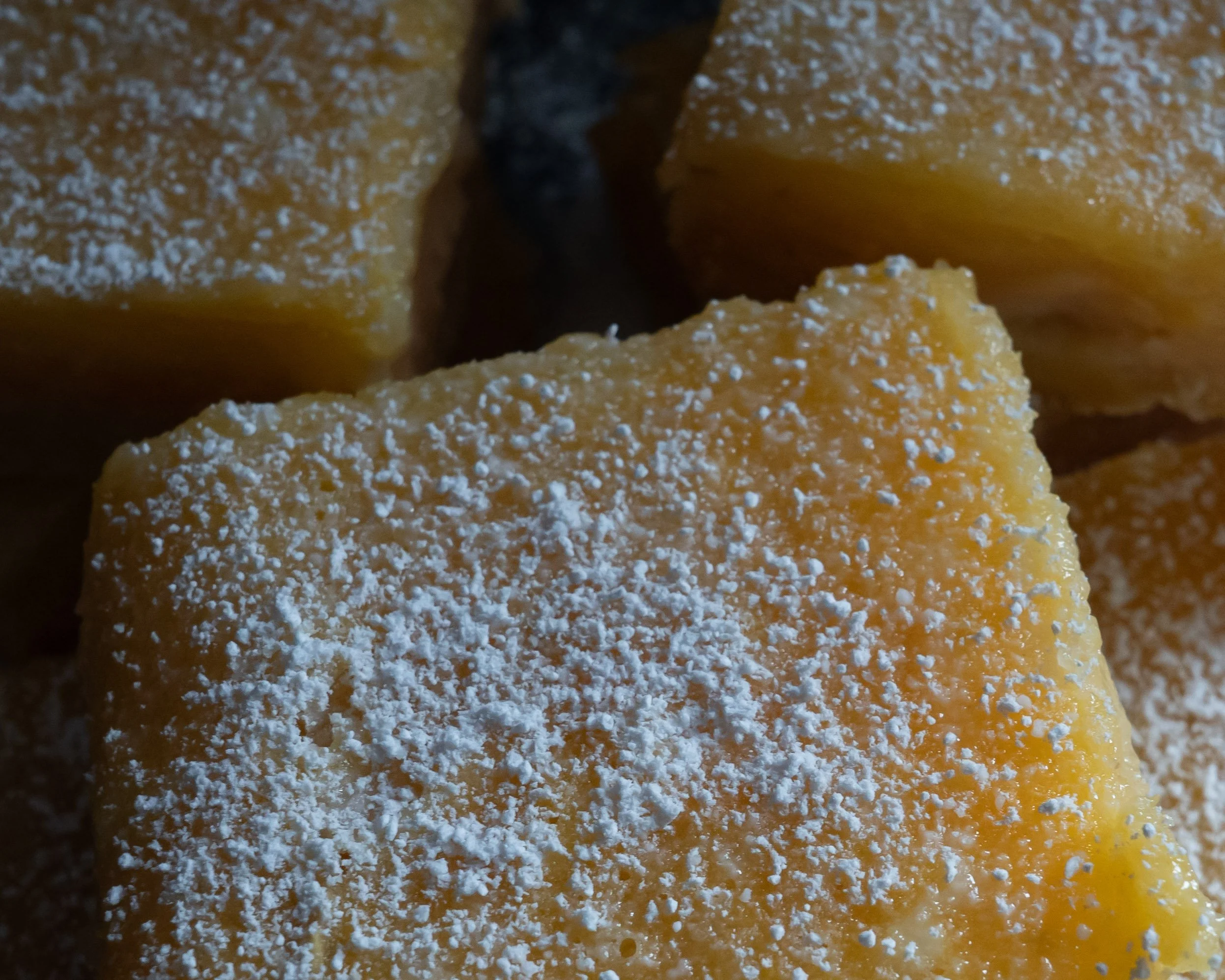lemon slices-1.jpg