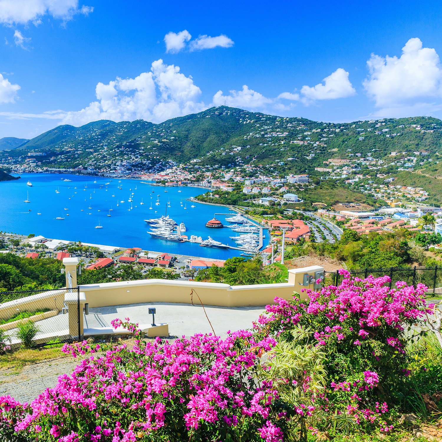 Vibes of the Virgin Islands