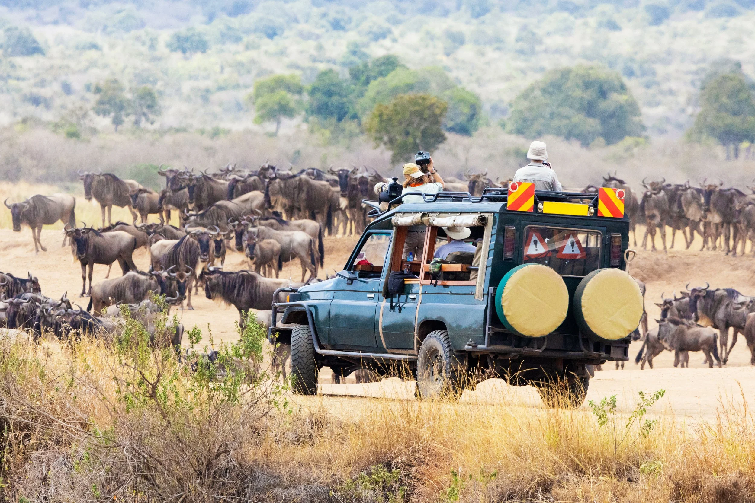 Masaai Mara Wildlife Day 8