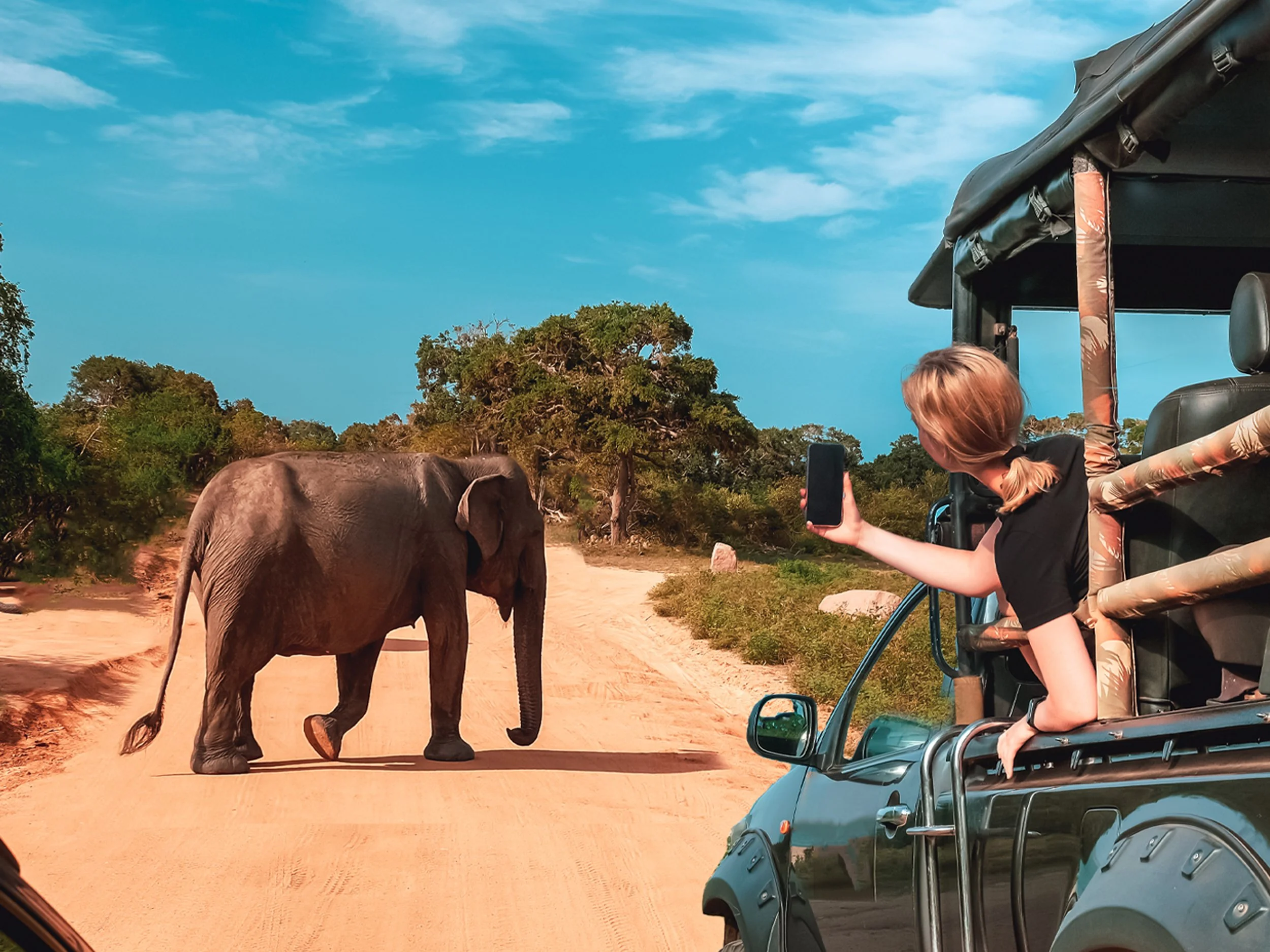 A traveler capturing a photo of an elephant crossing a trail during an African safari, representing an immersive and lasting travel experience.
