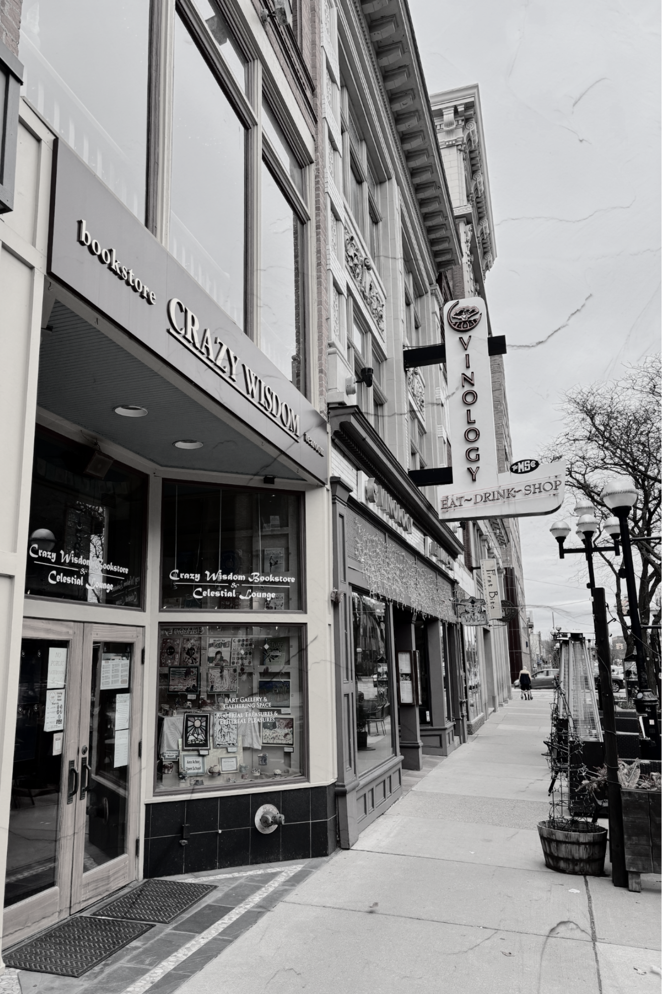 City street scene with storefronts, including Crazy Wisdom Bookstore and VinoLogy sign, black-and-white photo, sidewalk with a person in the distance, street lamps, and trees.
