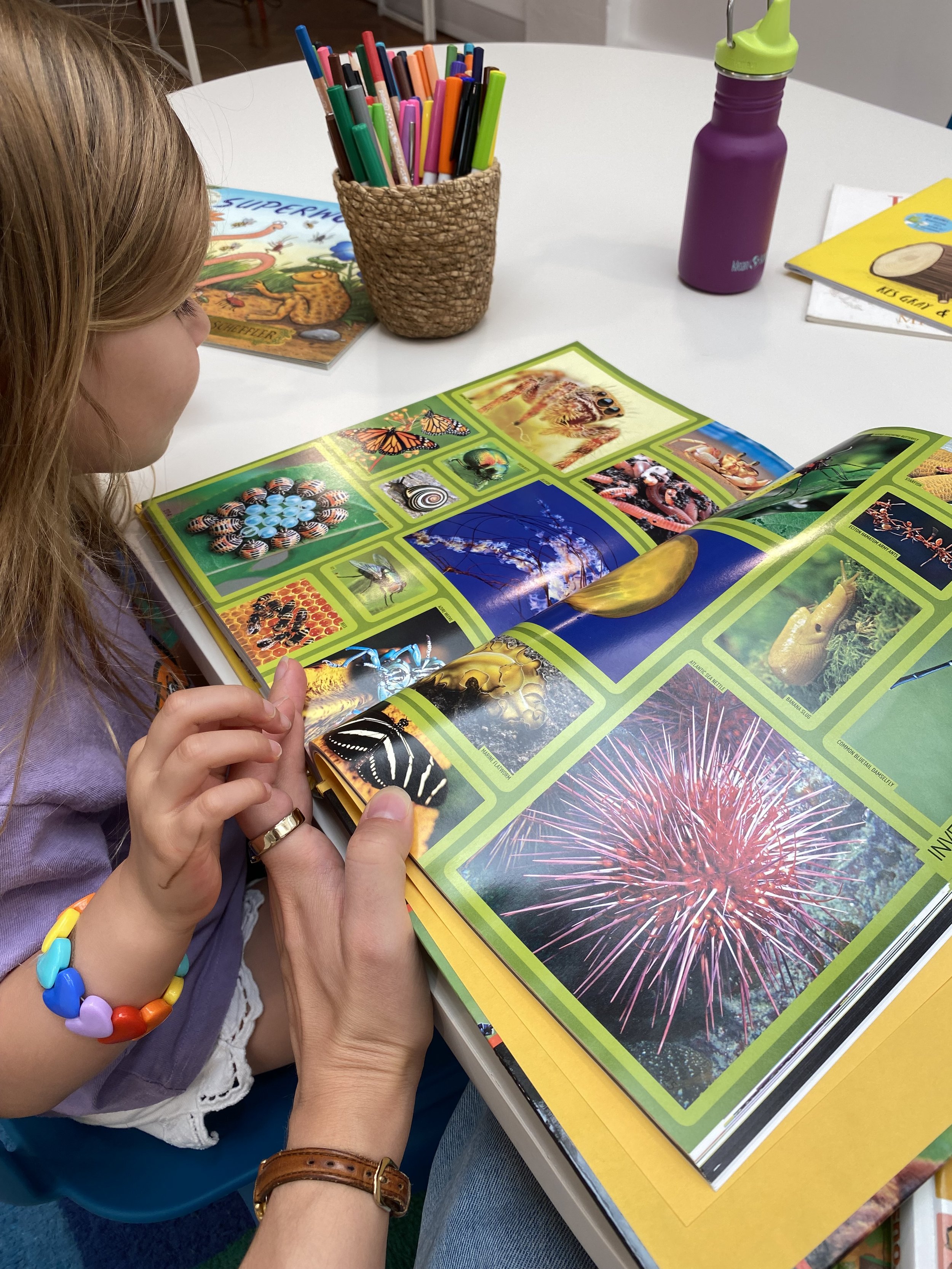 Young girl reading a science book during a tutoring session at The Study Studio, Parsons Green Fulham