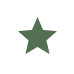 Green star icon