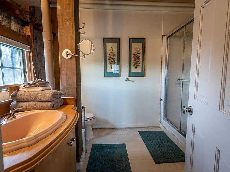 Bathroom with a sink on the left, a toilet in the middle, a shower enclosed with glass on the right, two framed botanical prints on the wall, a wall-mounted mirror with a light, towels stacked on the sink, and dark green mats on the floor.