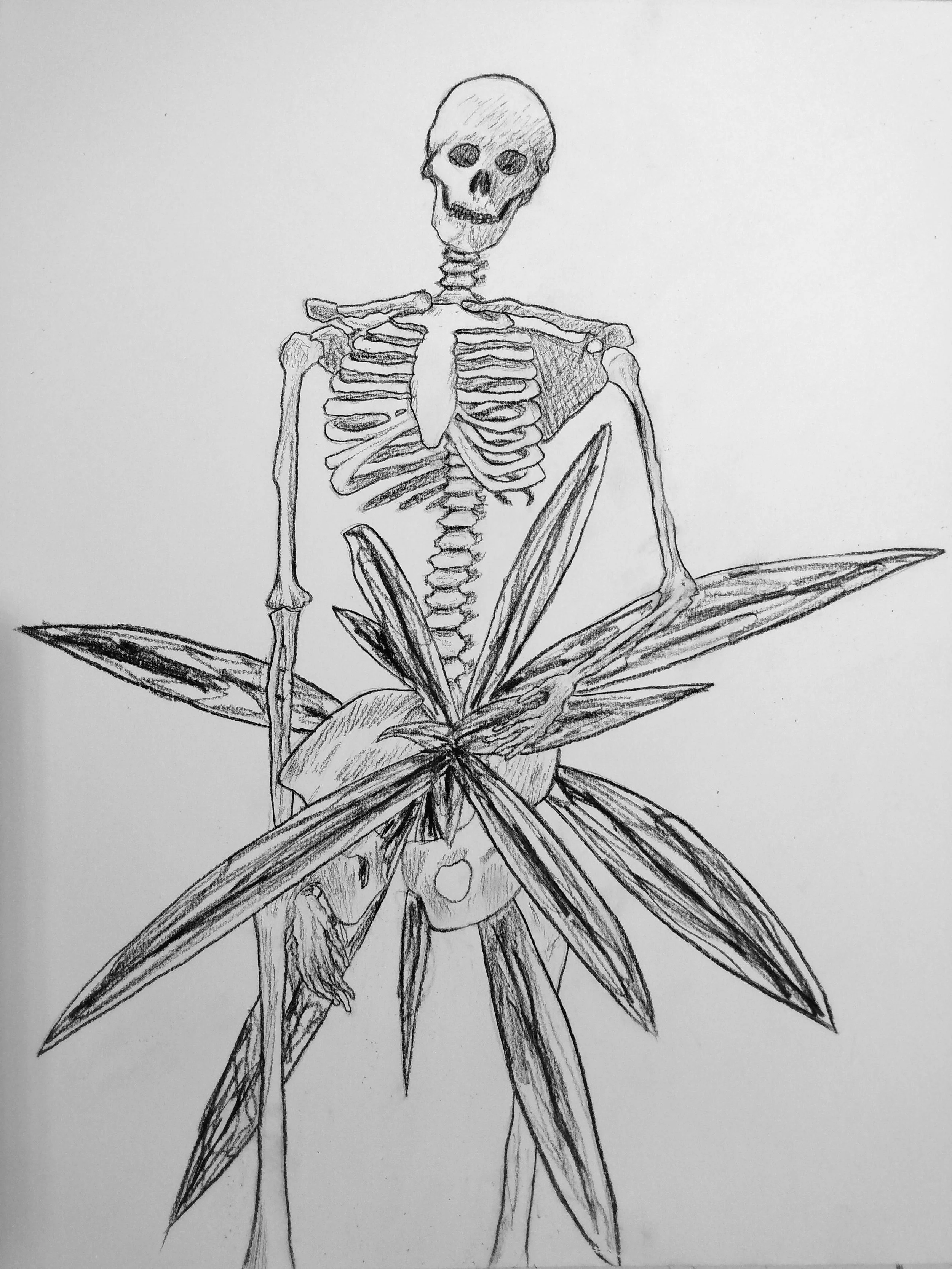 Skeleton Study #1