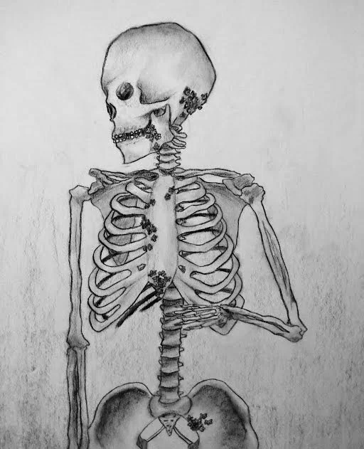 Skeleton Study #4