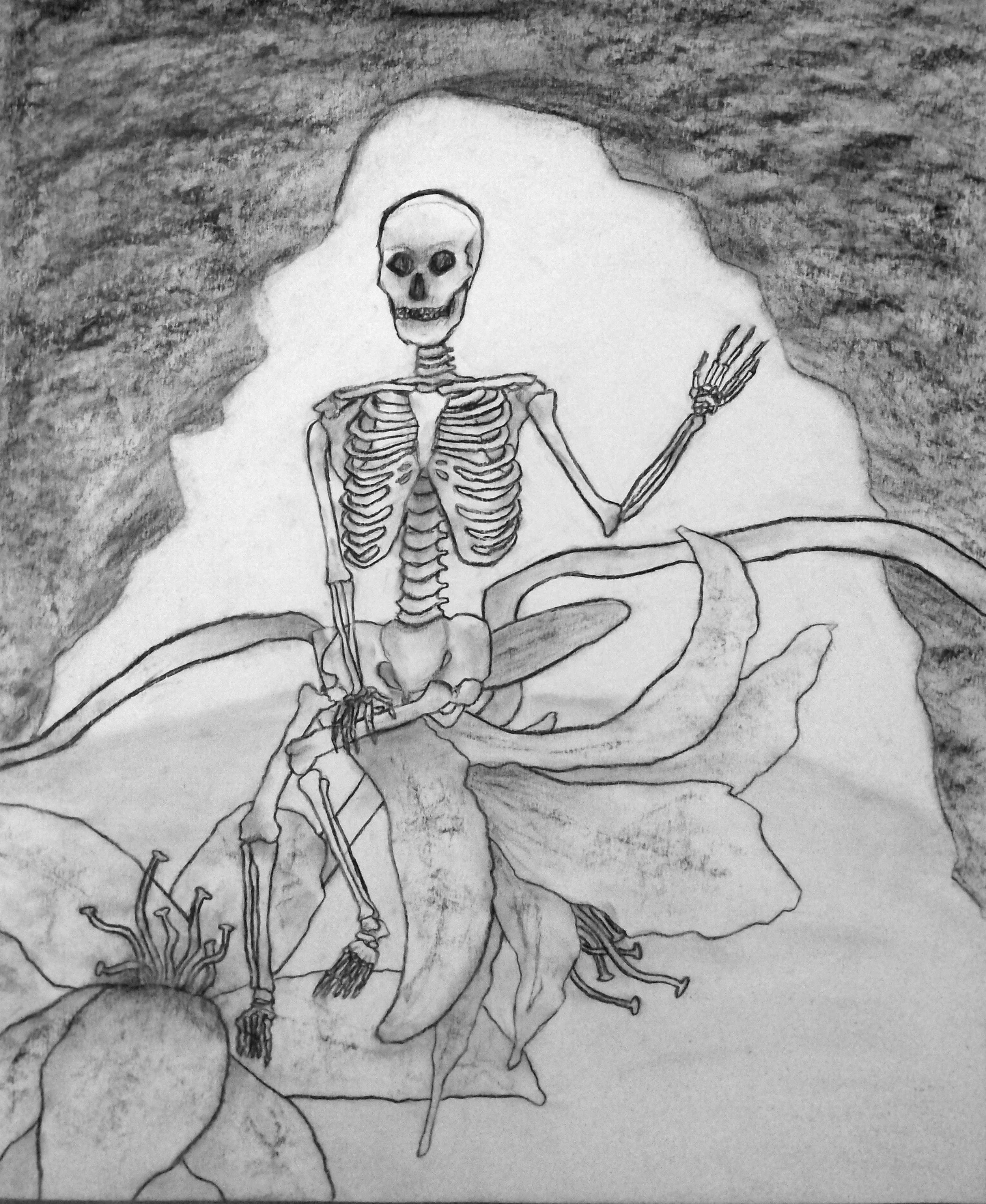 Skeleton Study #3