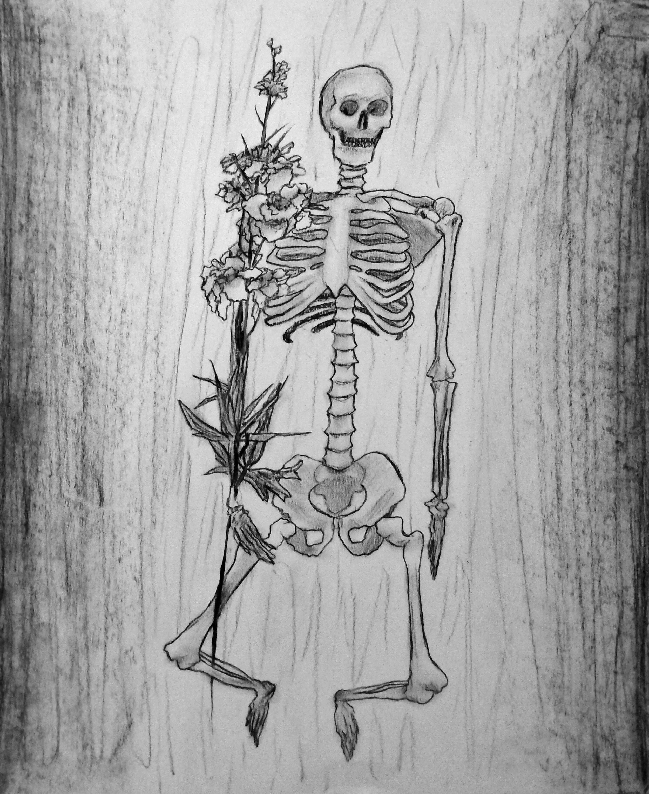 Skeleton Study #2