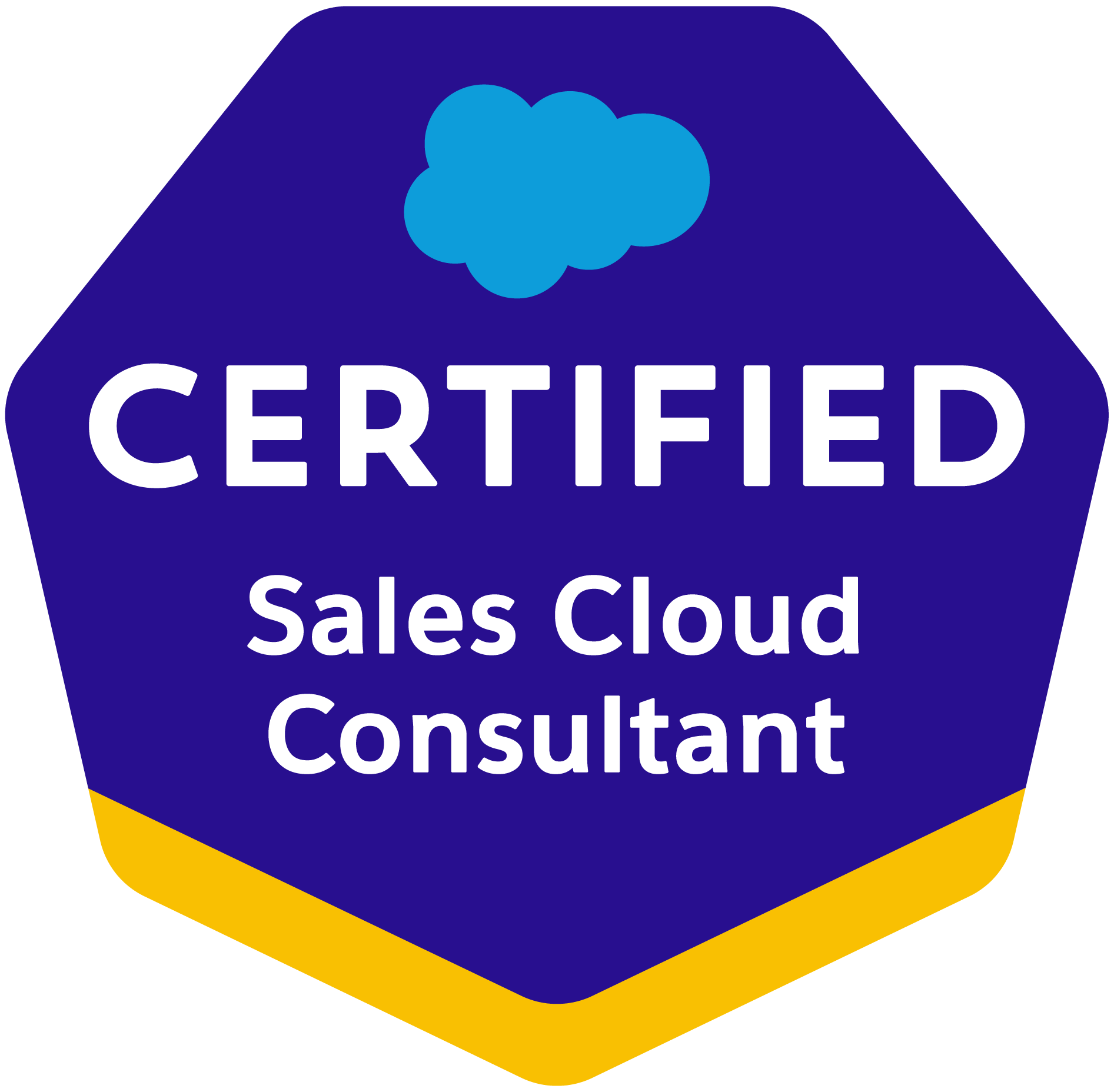 Salesforce Certified Sales Cloud Consultant -- behavioral health CRM consulting