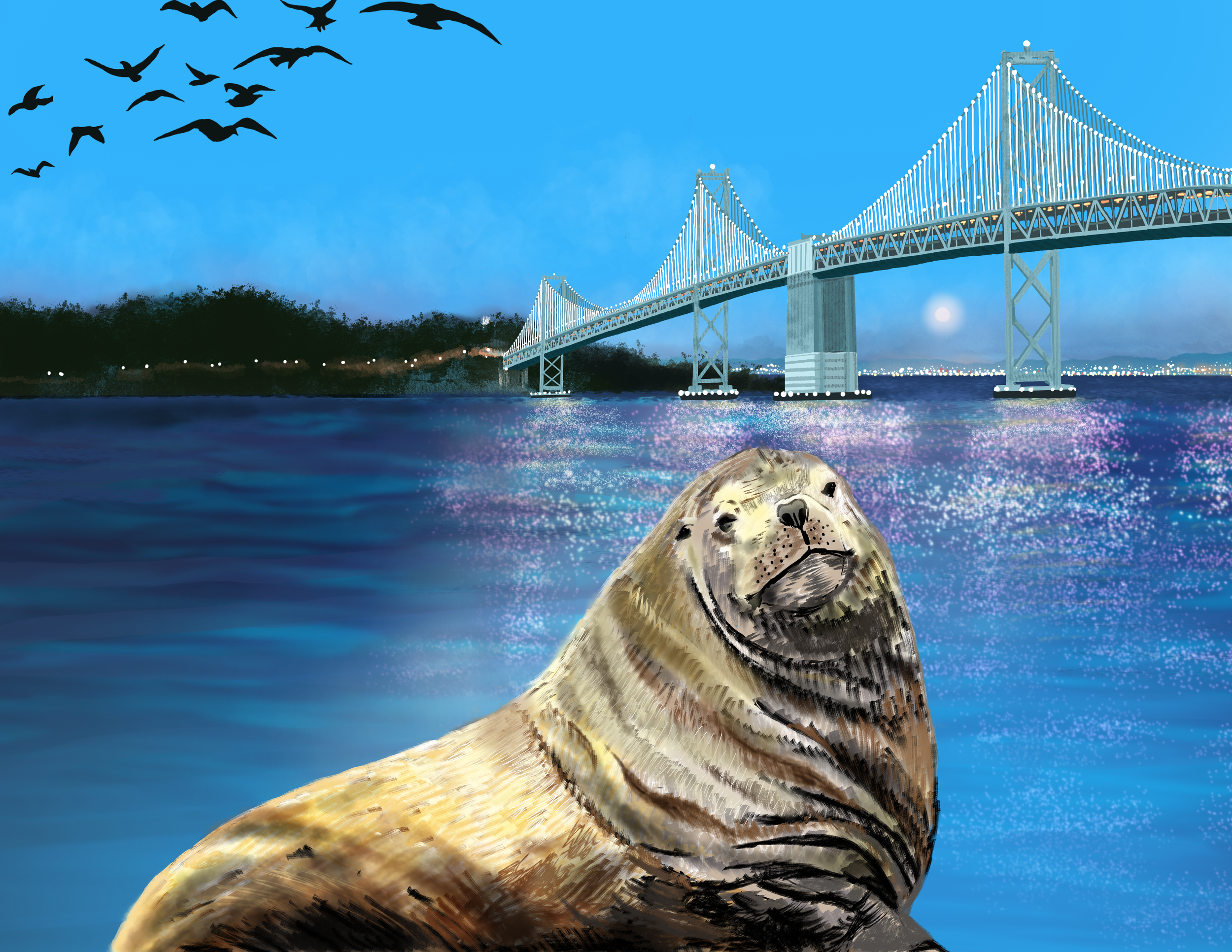 chonkers sea lion.png