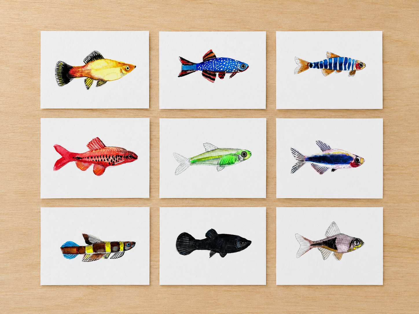 Nine illustrated fish cards arranged on a wooden surface.