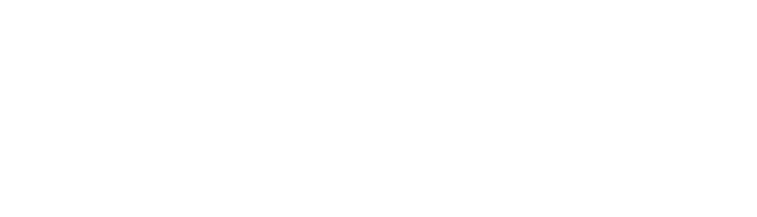 Orizon Partners