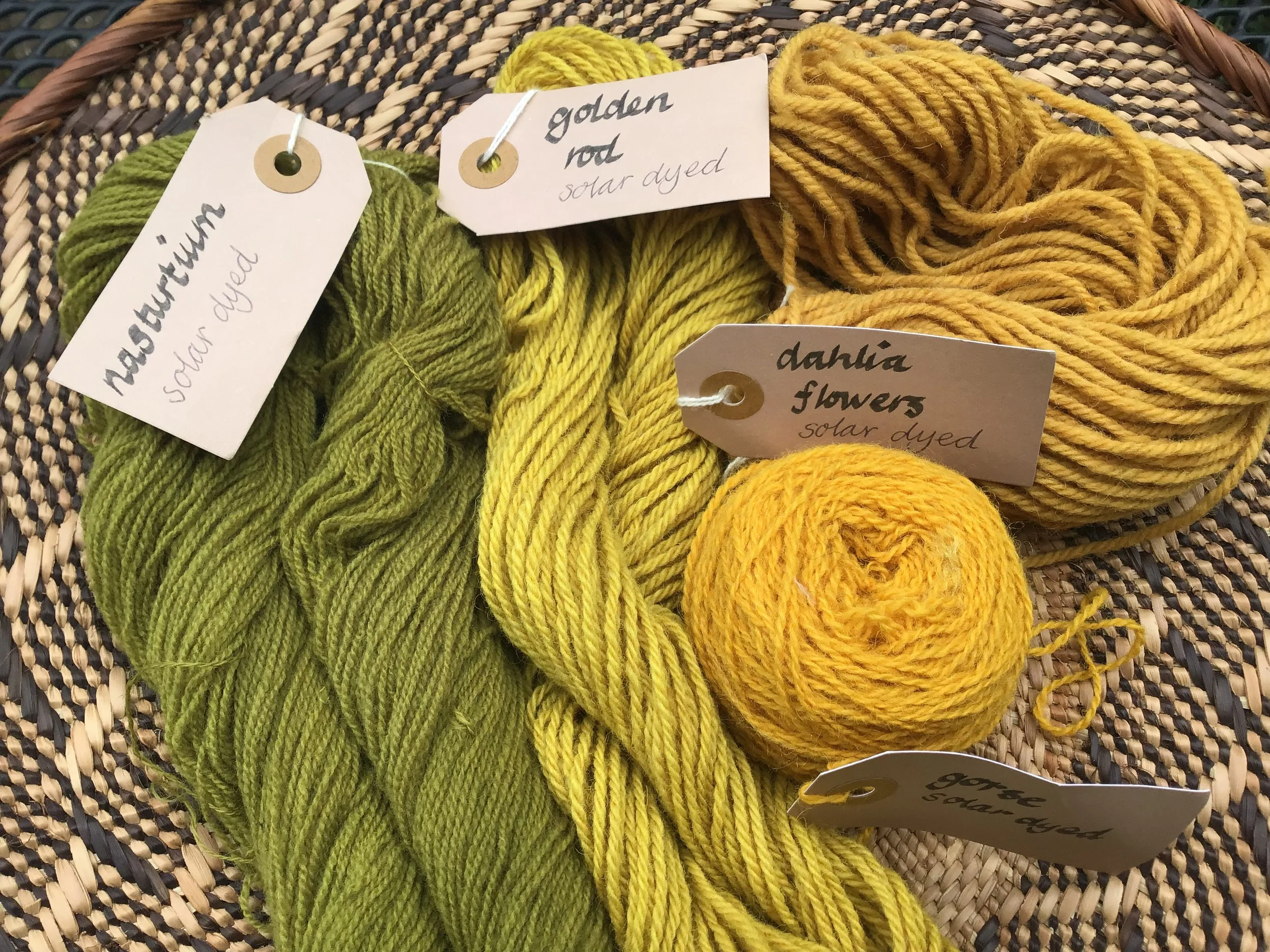Fiona Eastwood natural dye beginners.jpeg