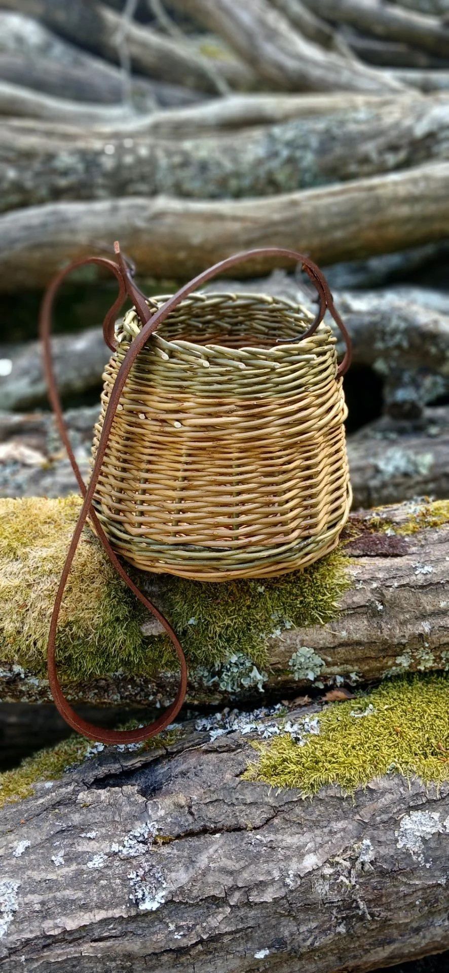 Lisa Dear Basketry 1.jpg