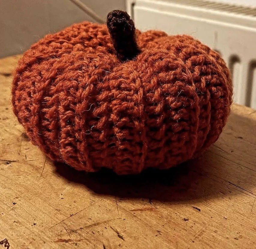 Evie Crochet 4.jpeg