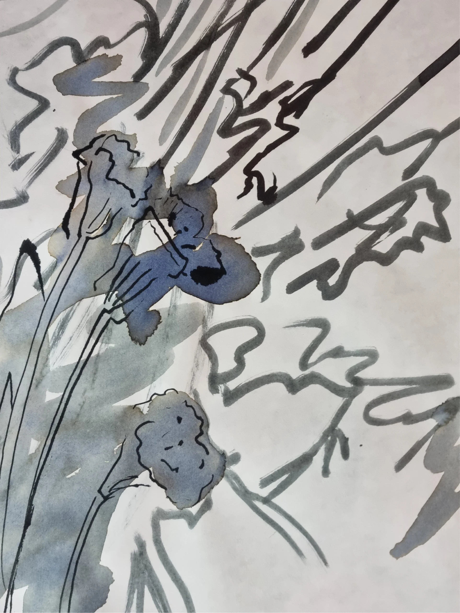 Friday Evening Craft Social: Ink Drawing from Still Life