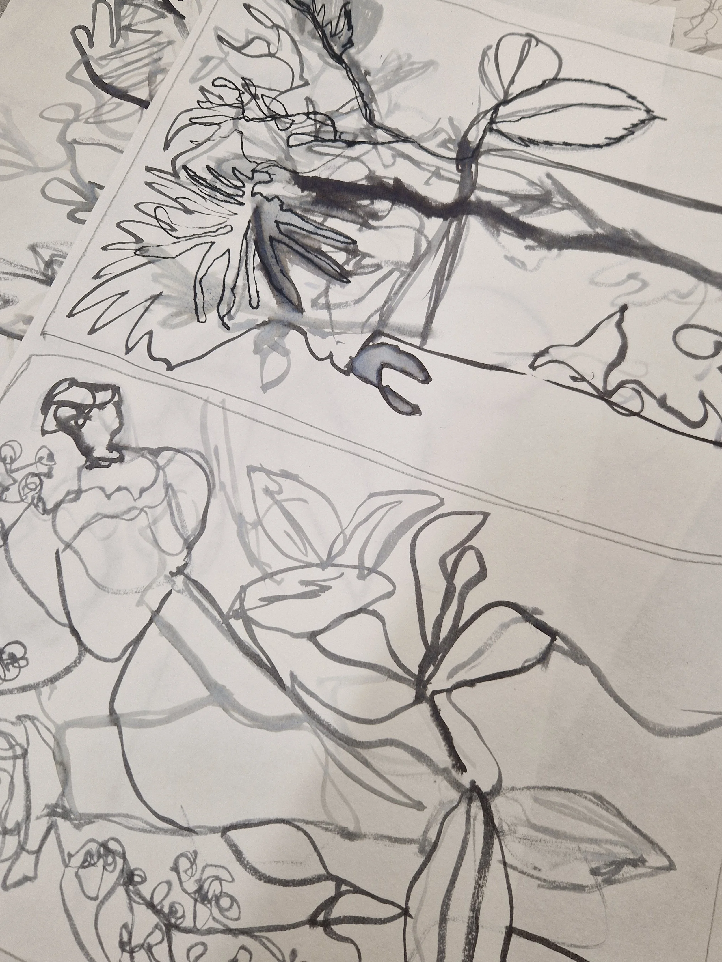 Drawing Flora 3.jpg