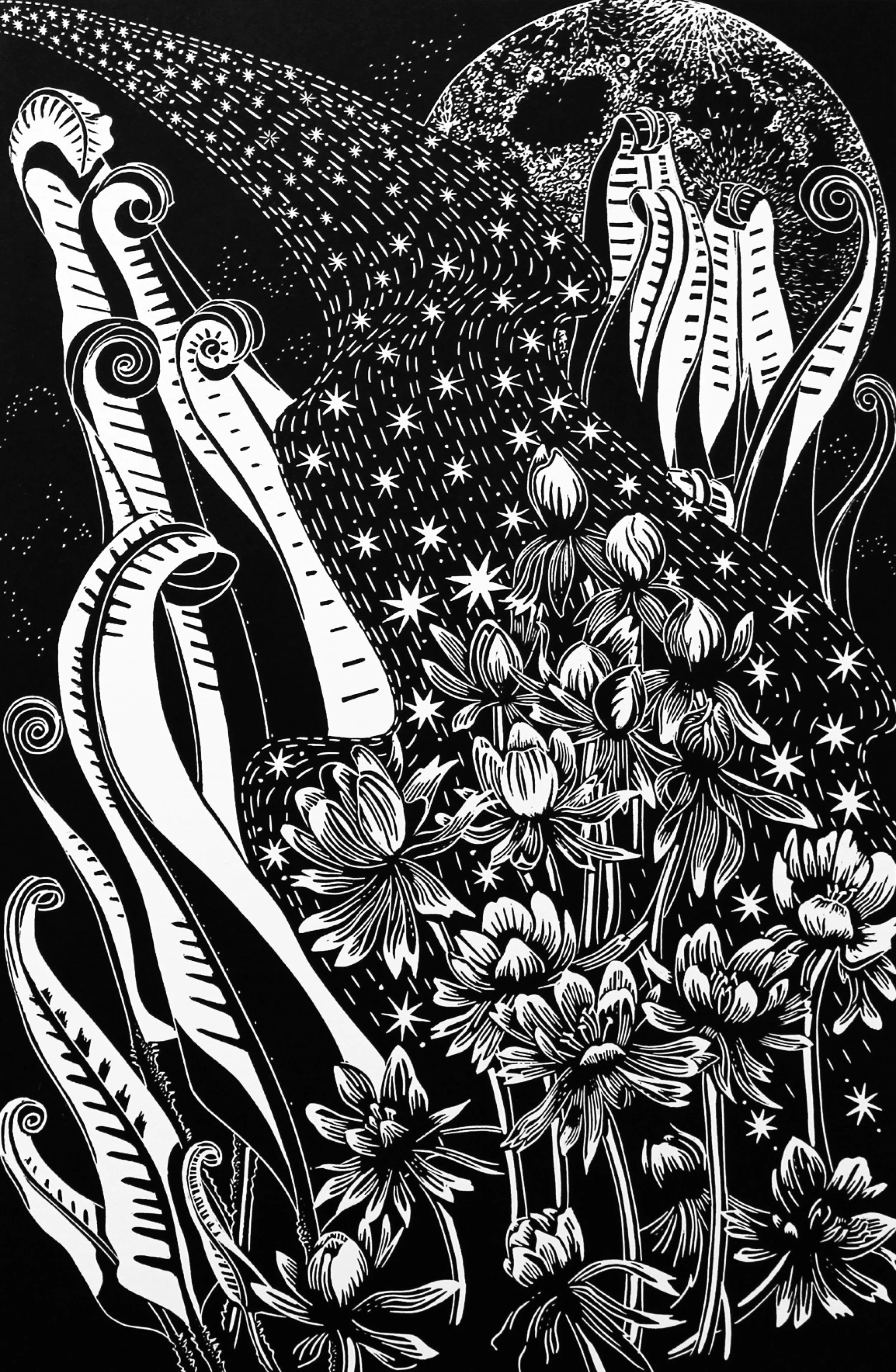 Anemones by starlight_Cally C.jpg