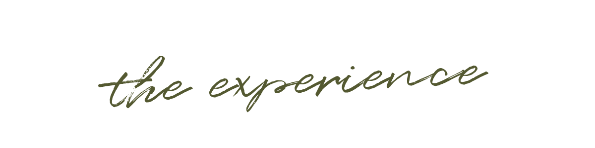 A graphic design with the words "Create the experience" in stylized font, with a minimalistic black background.