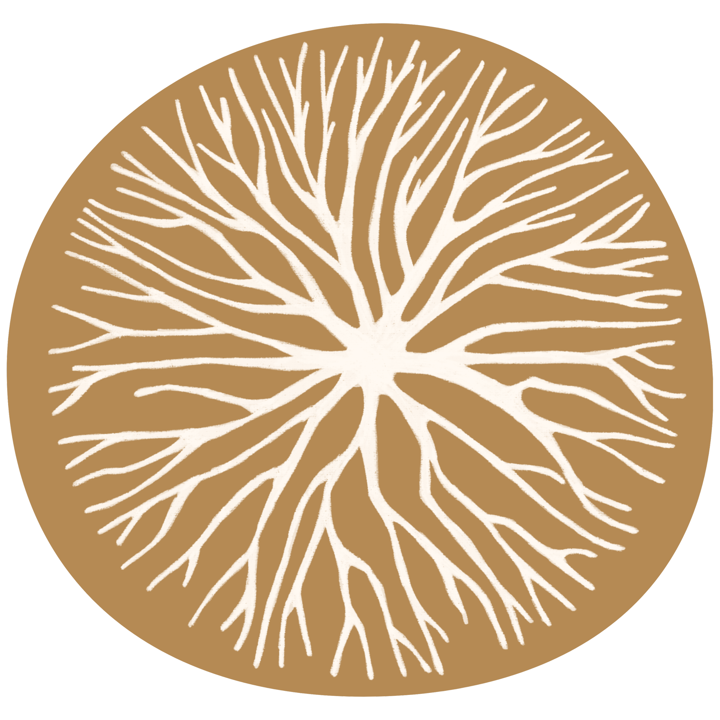 Close-up of a decorative object resembling a stylized tree with white branches on a brown oval background.