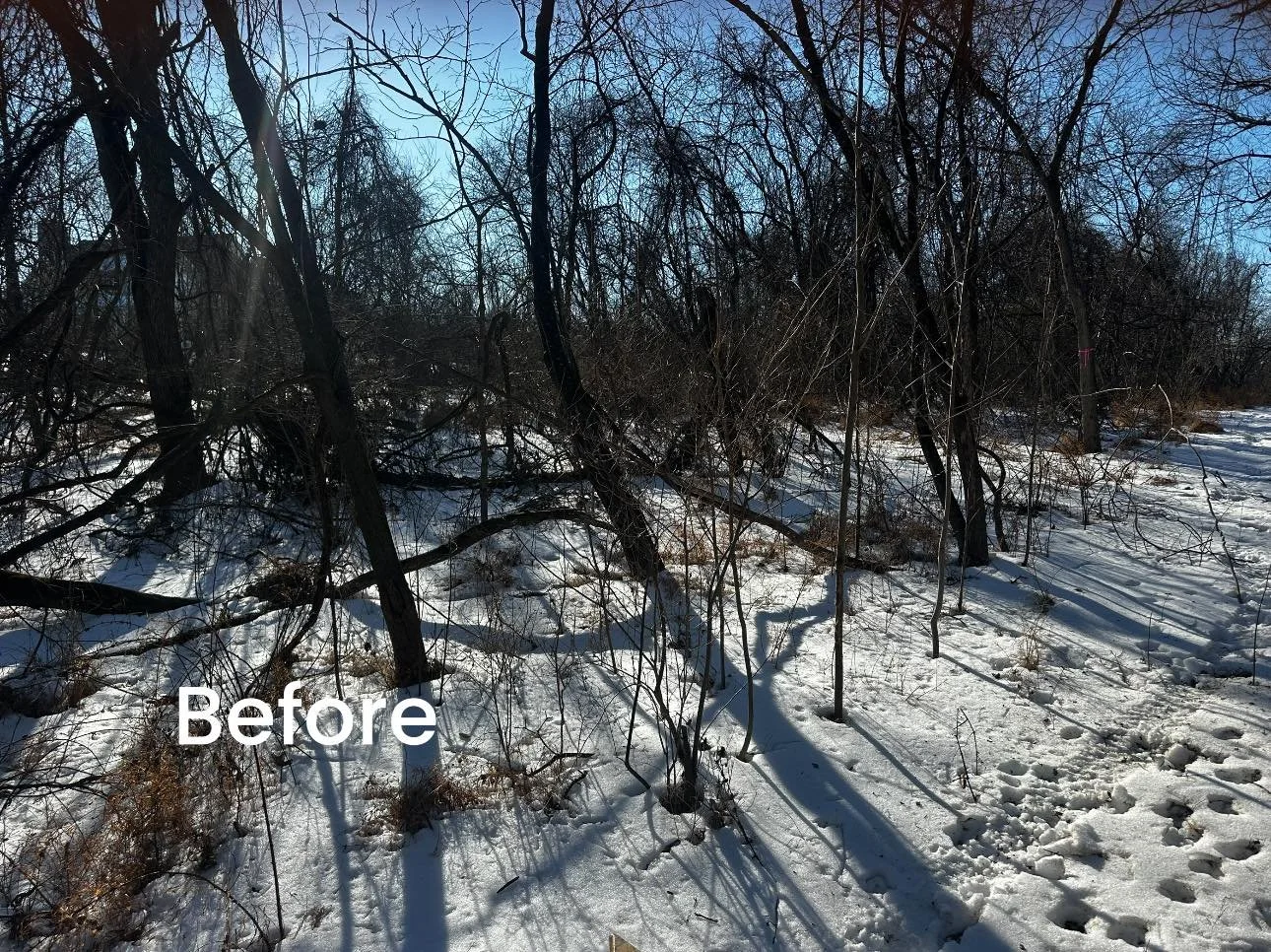 A snowy landscape with leafless trees and uneven terrain, captured during daytime with sunlight casting shadows on the snow. The word 'Before' is overlaid on the bottom left corner.