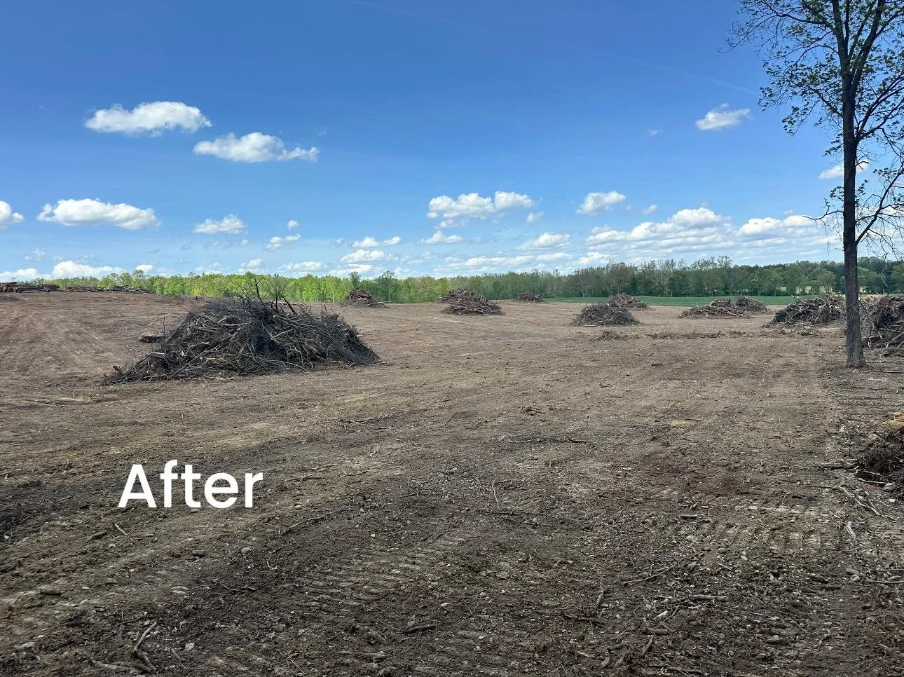 A cleared and plowed field with piles of sticks and branches, a few trees, and a blue sky with scattered clouds.