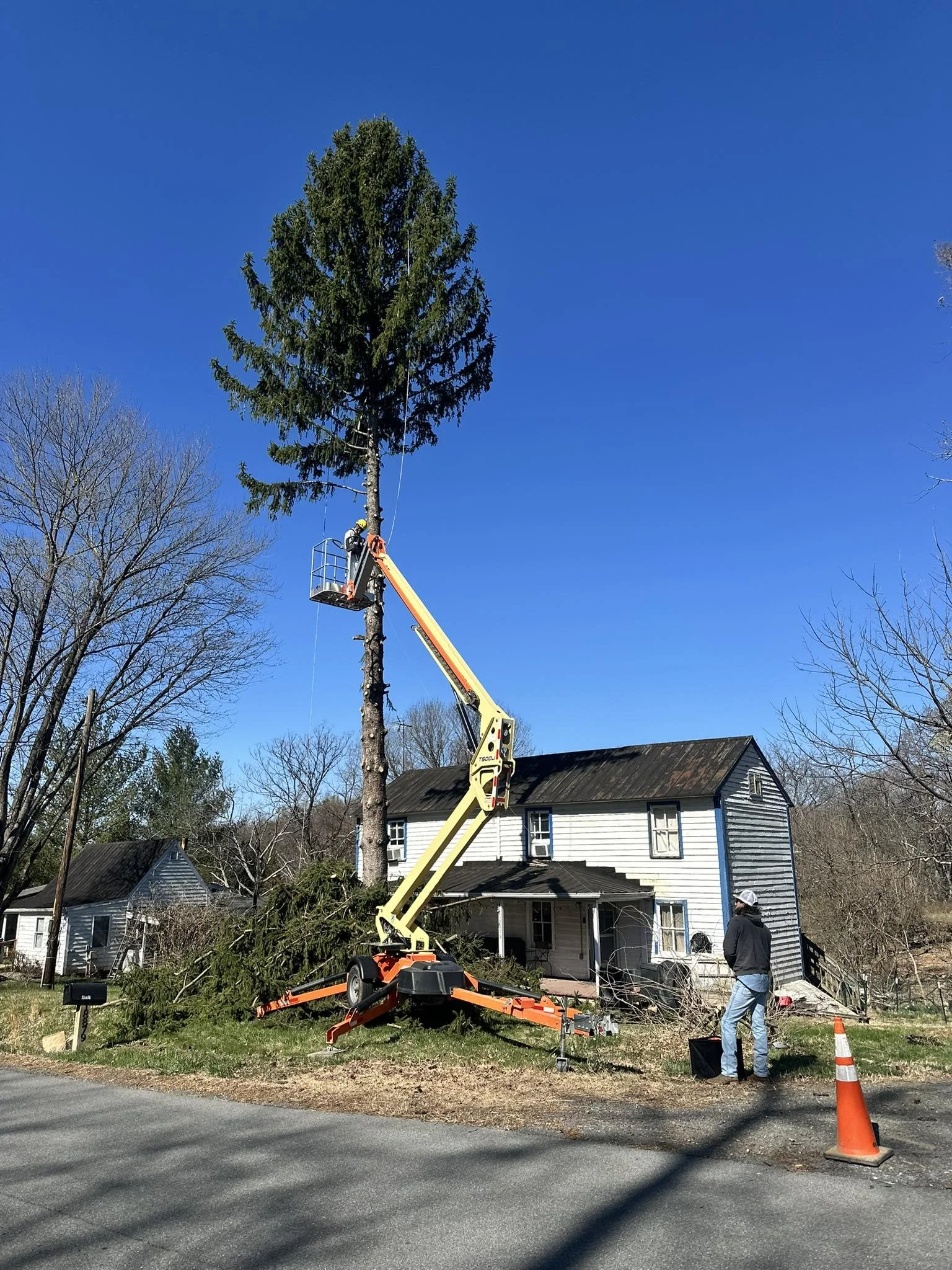 Tree trimming crew using a bucket lift to prune a tall evergreen tree in a residential neighborhood. Worker in bucket trimming tree branches, with equipment on the ground nearby. House with a white exterior and black roof visible in the background. O